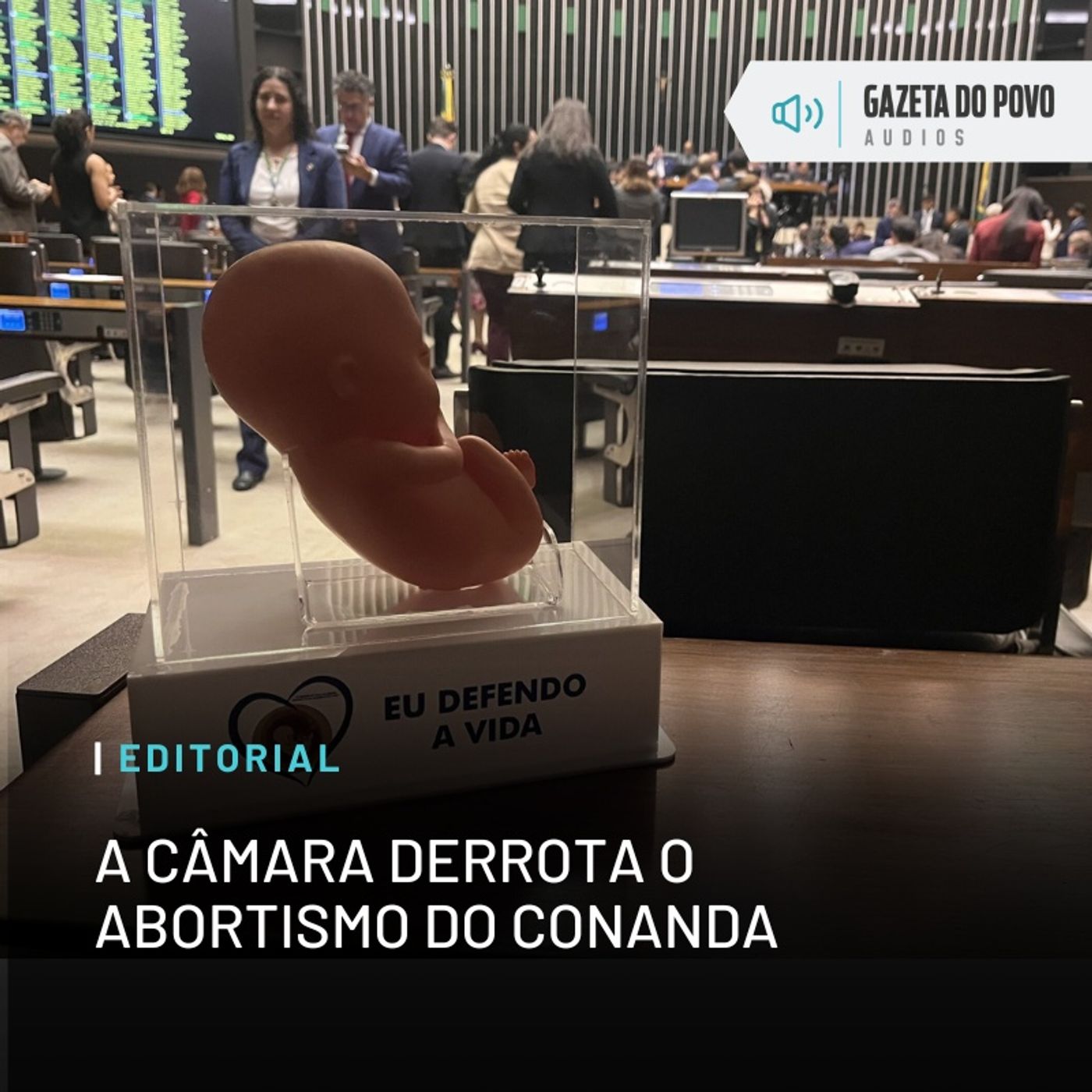 Editorial: A Câmara derrota o abortismo do Conanda