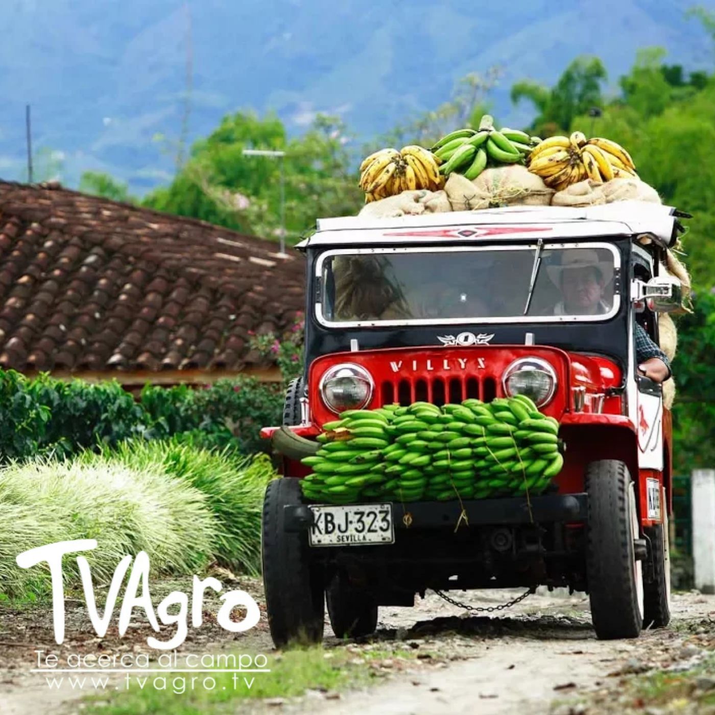 TV AGRO