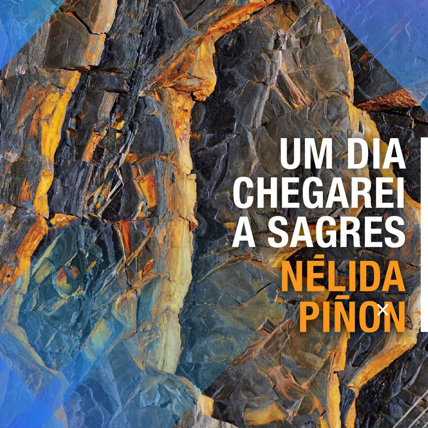 Entrevista com Nélida Piñon episode artwork