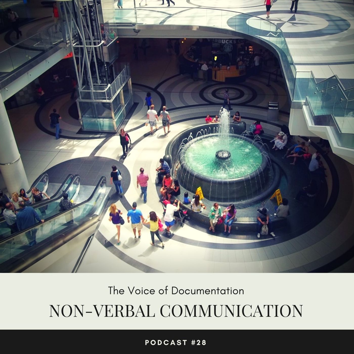 The Voice Of Documentation