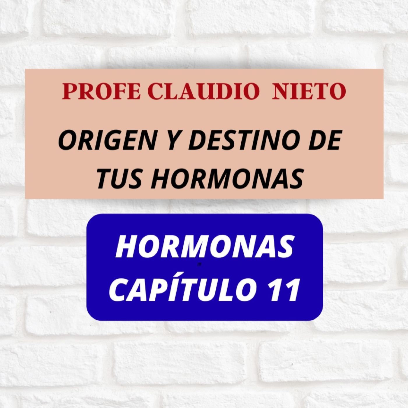 257. ¿Quieres más TESTOSTERONA o GH?   Mira a tu HIPOTÁLAMO antes que al espejo | HORMONAS 11
