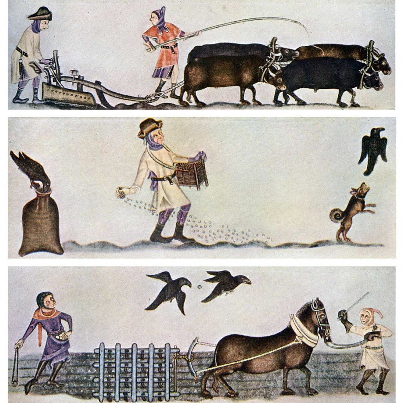 L'uomo medievale: caratteristiche, mentalità, paure episode artwork