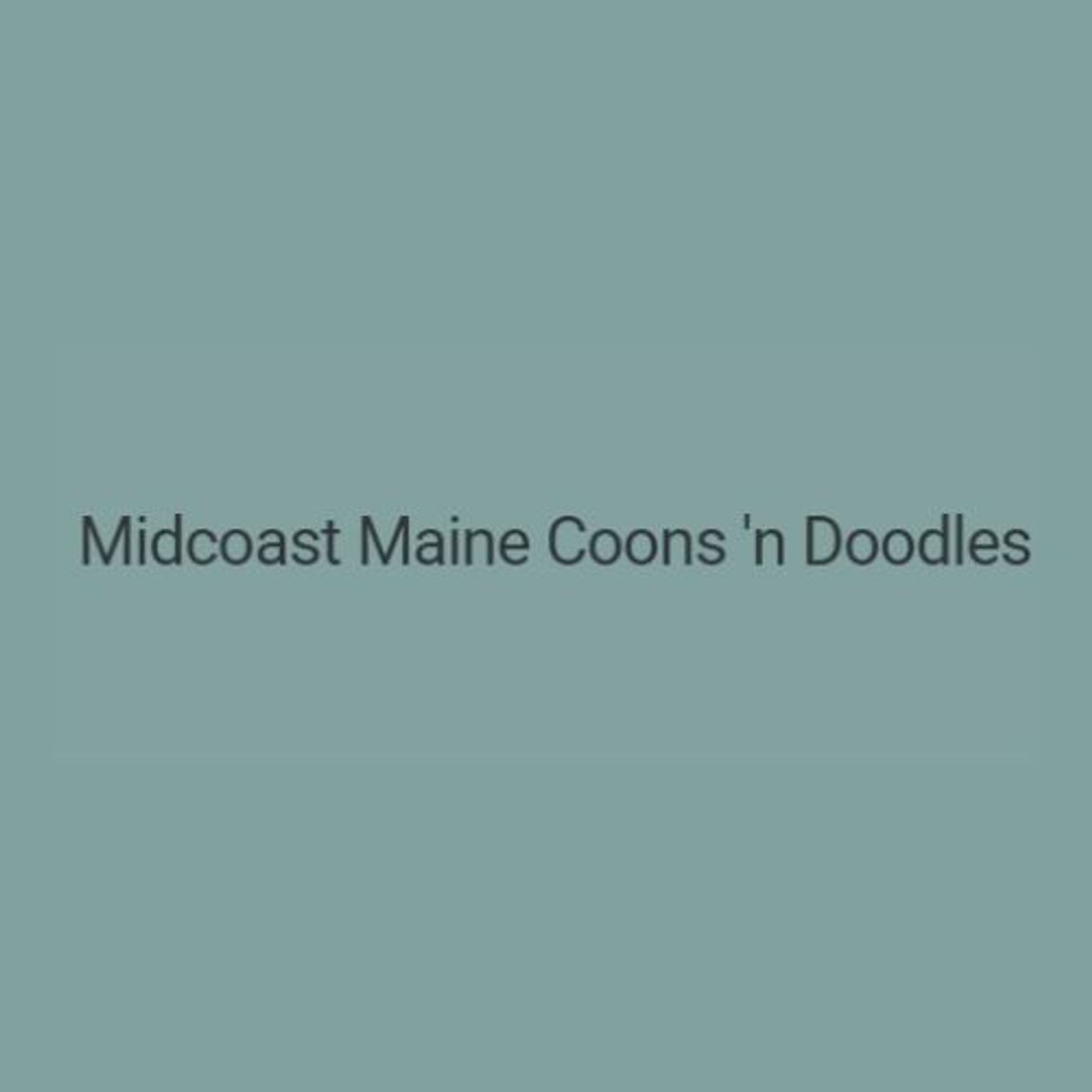 Midcoast Maine Coons n Doodles