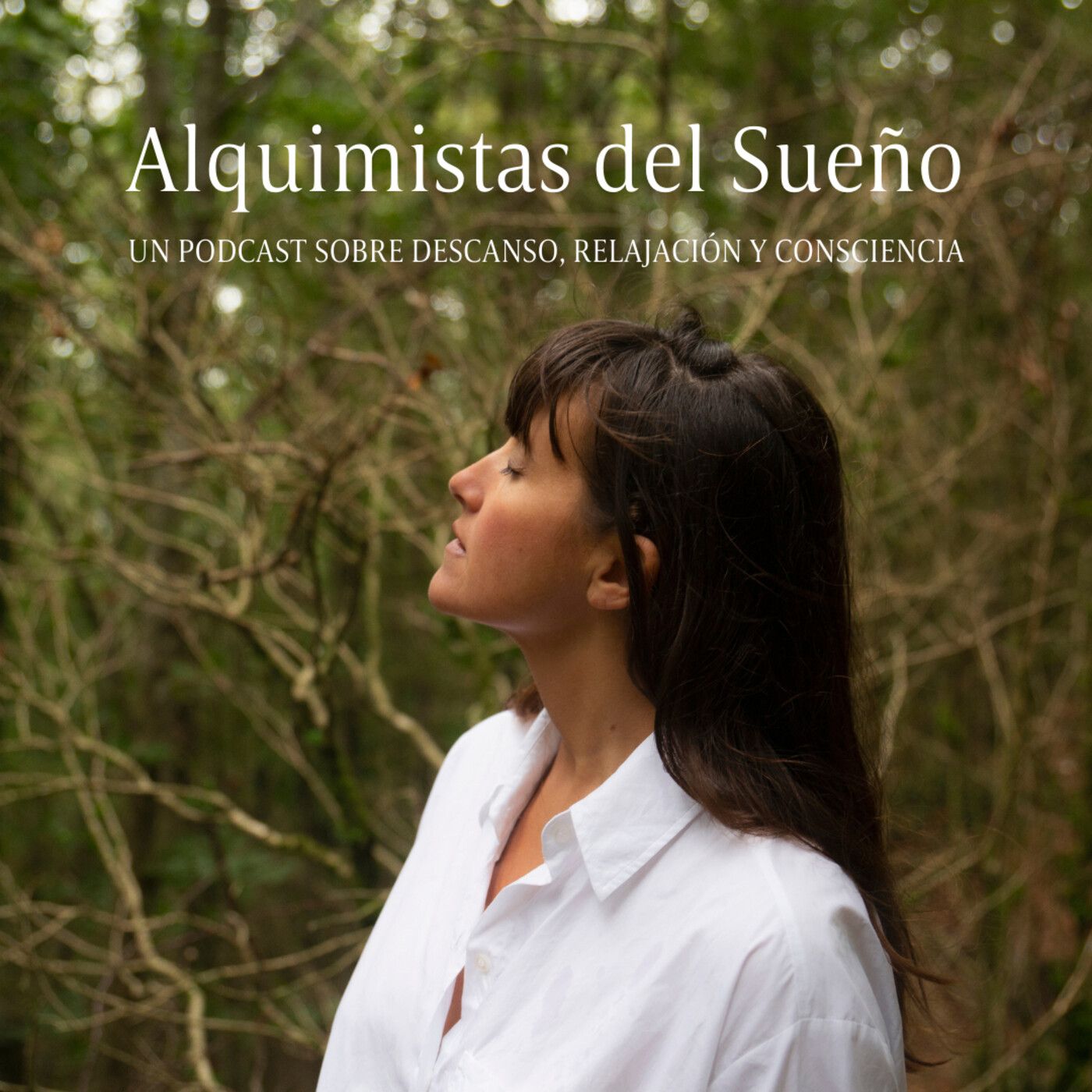 Alquimistas del Sueño
