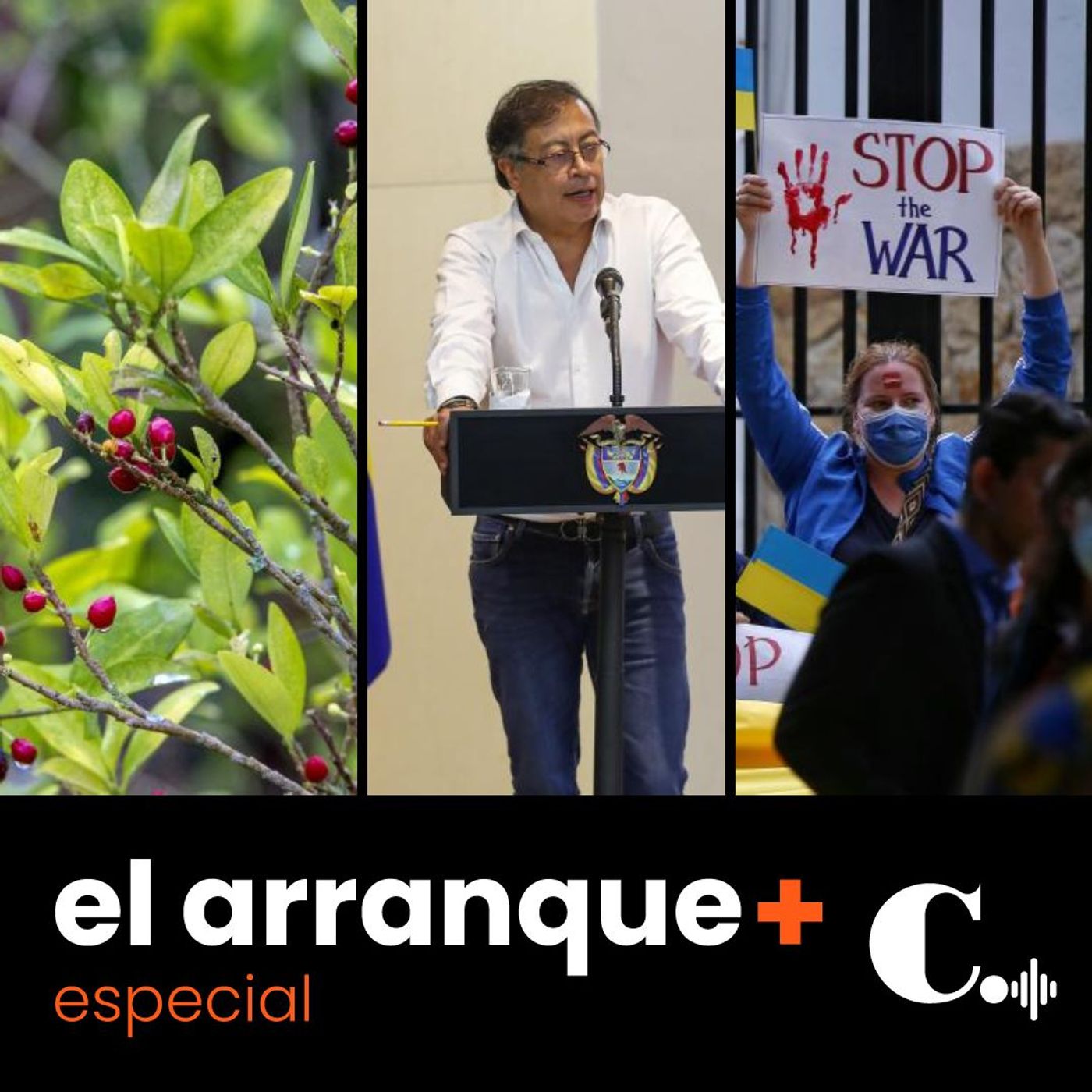 264. Lunes, 26 de diciembre de 2022. Petro, cultivos de coca, política internacional y más en el área de Actualidad episode artwork