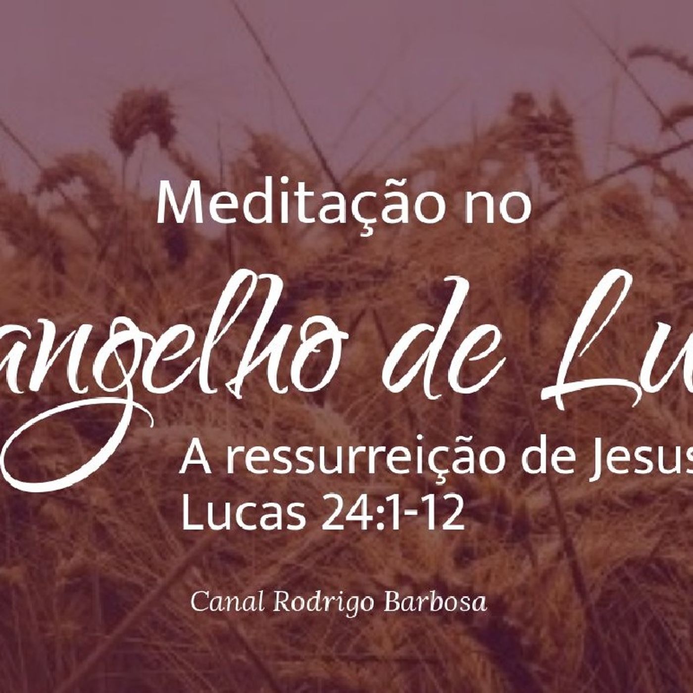 Rodrigo Barbosa