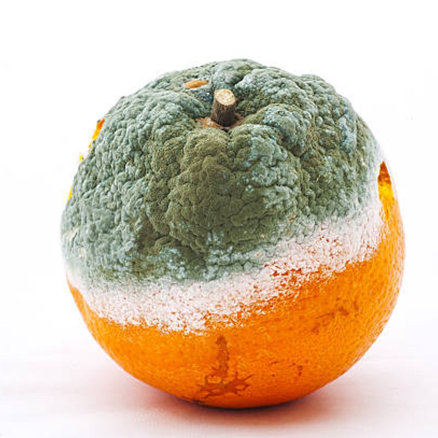 Historias de Miedo Septiembre 6 de 2022 ENERGIAS