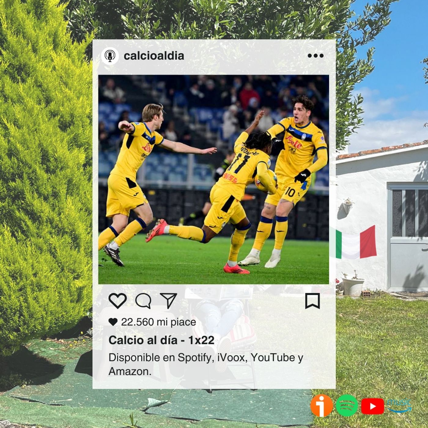 Calcio al día