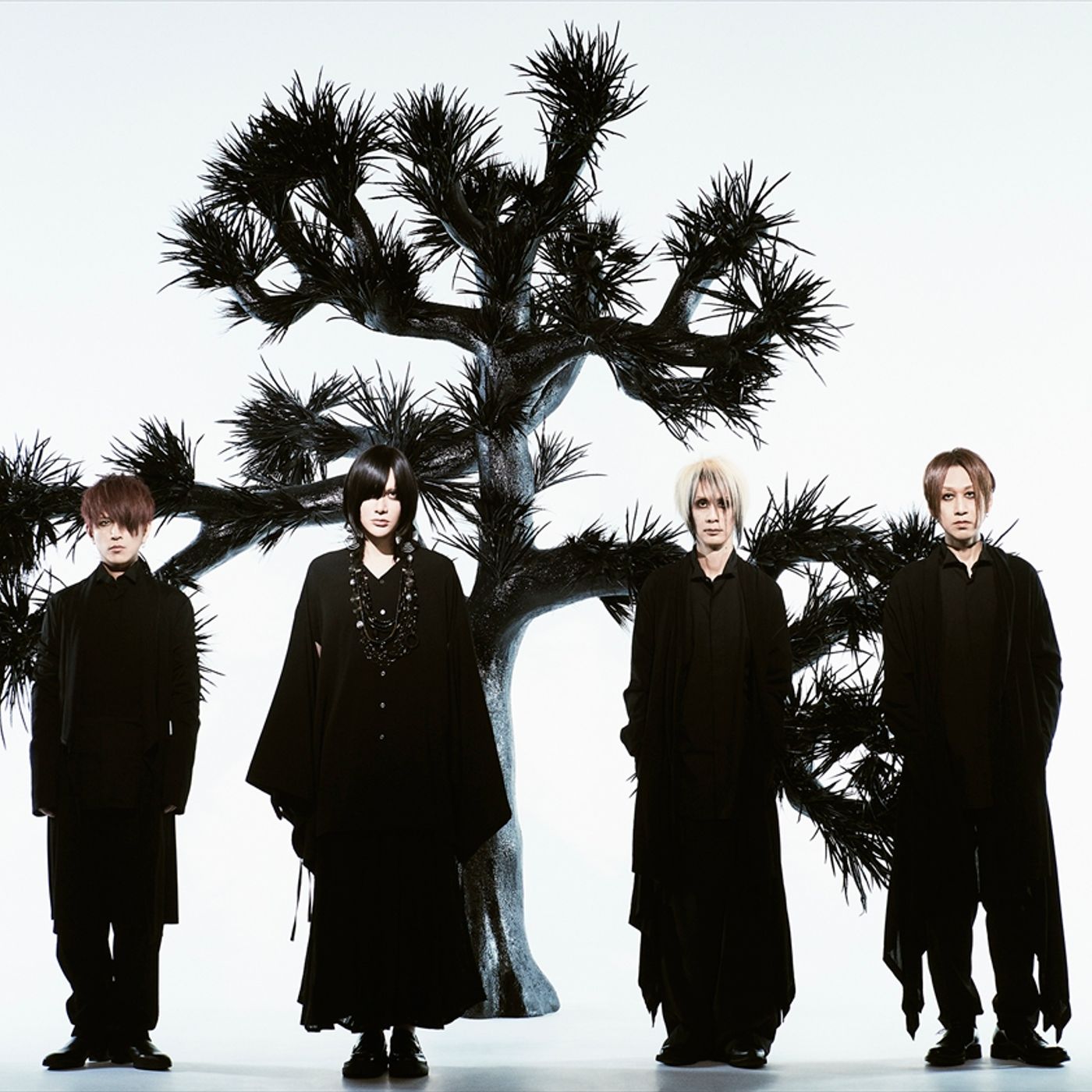 Plastic Tree、メジャーデビュー30周年へ向けてビクター時代に発表した全17曲のMVを一挙公開 episode artwork