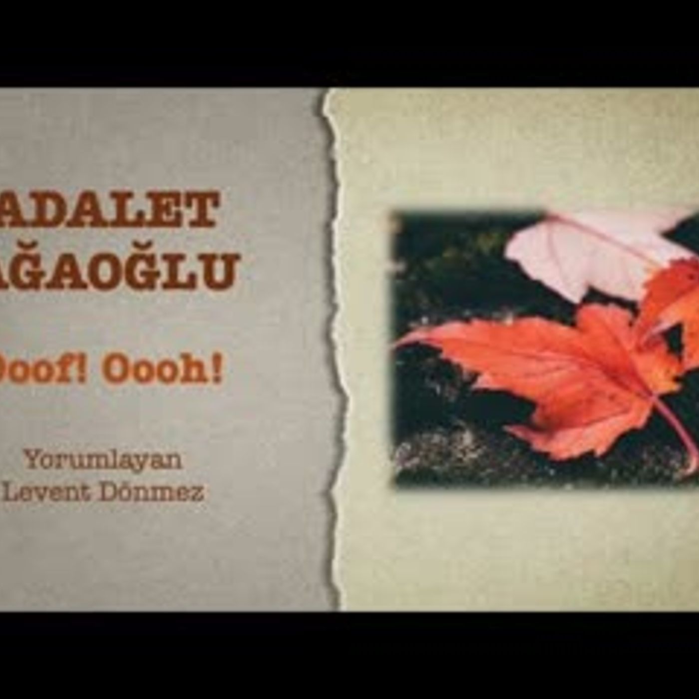 Adalet Ağaoğlu - Ooof! Oooh!