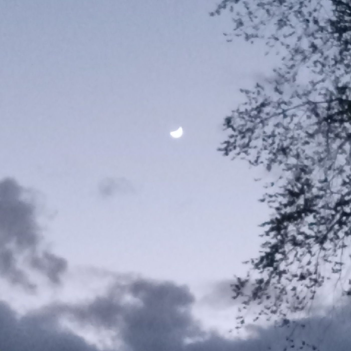 Contentment and Gratitude — Jess In The Mess cover