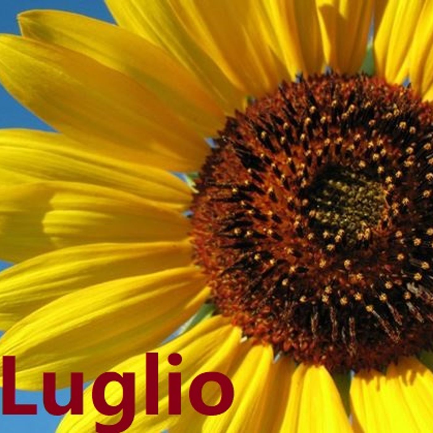 Meditazioni Giornaliere di Luglio