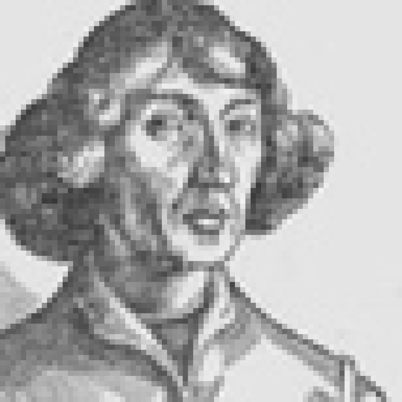 Luces en la Oscuridad