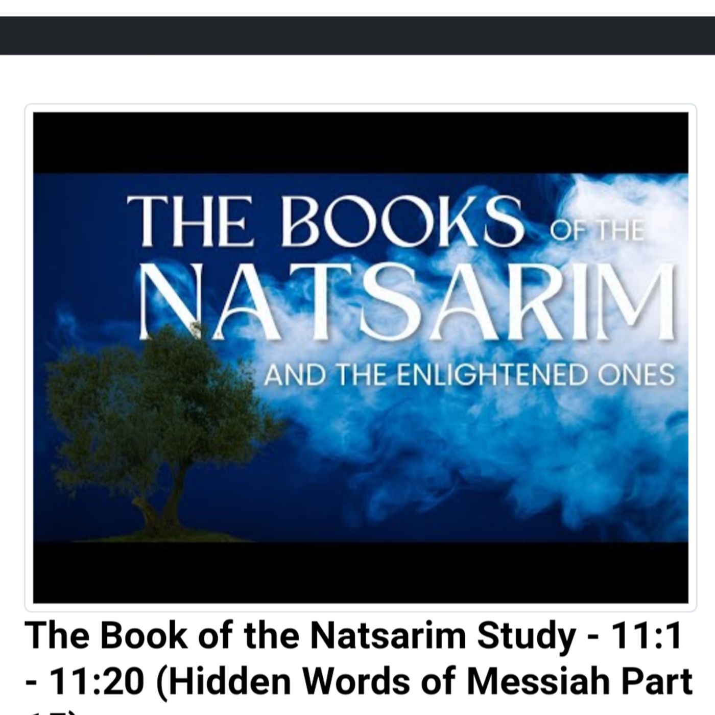 The Book of the Natsarim Study - 11:1 - 11:20 (Hidden Words of Messiah Part 15) episode artwork