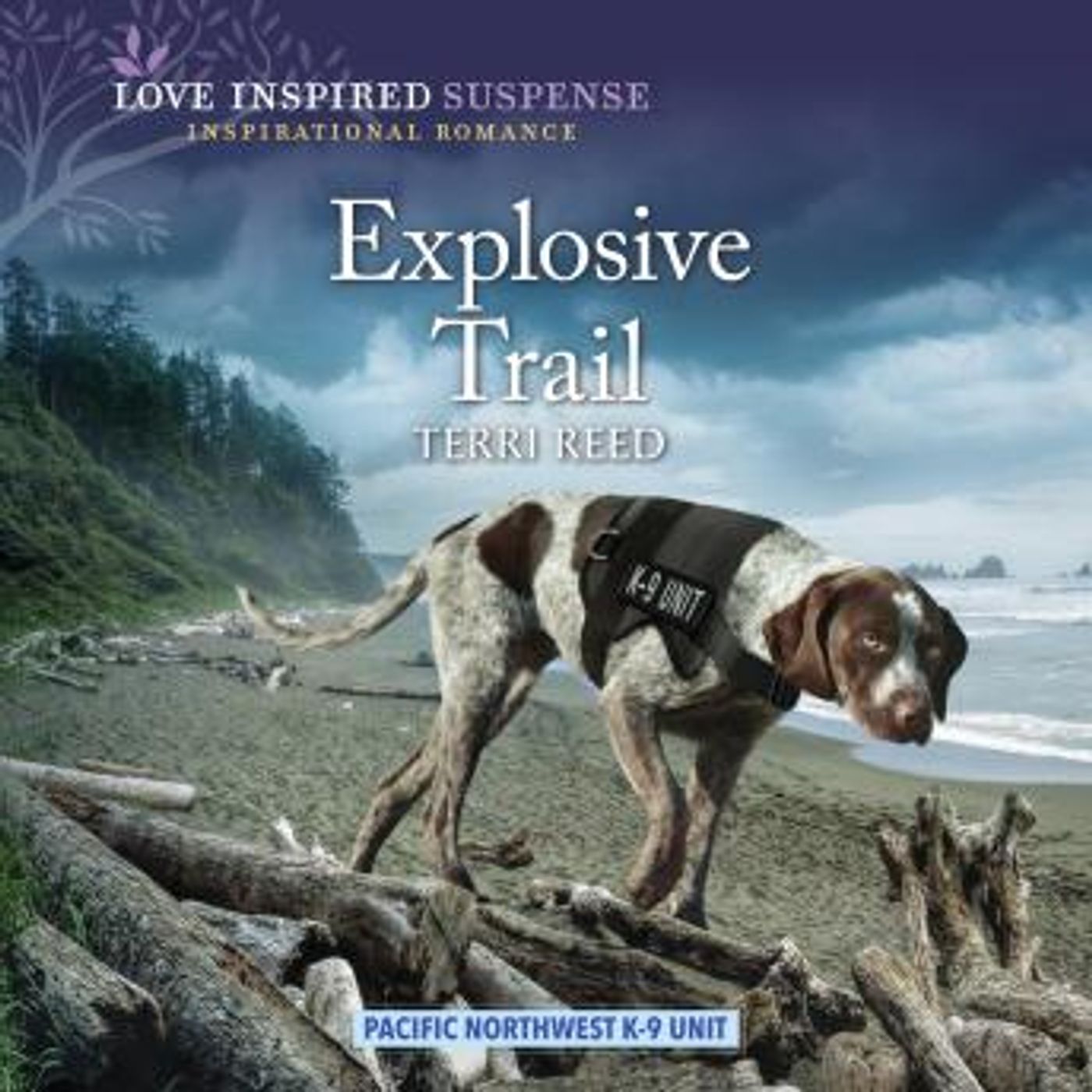 Listen to Full Audiobooks in Romance, Mystery