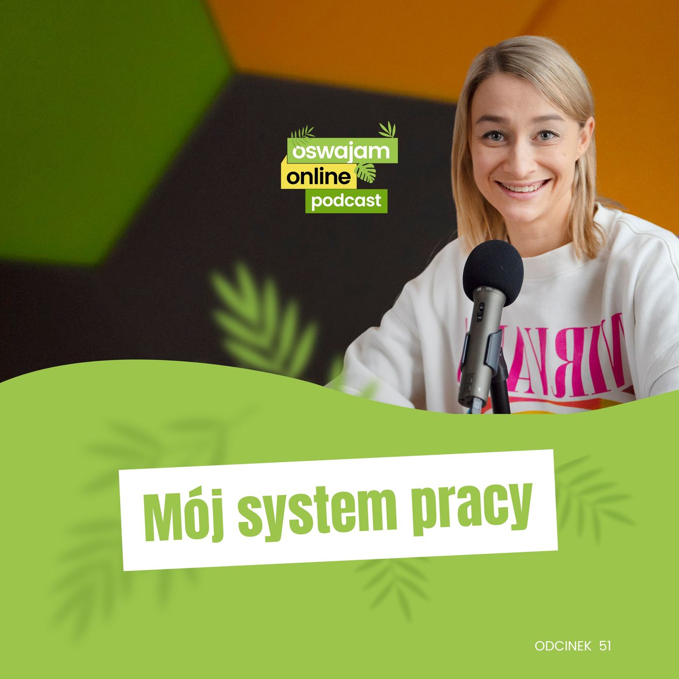 51: Mój system pracy