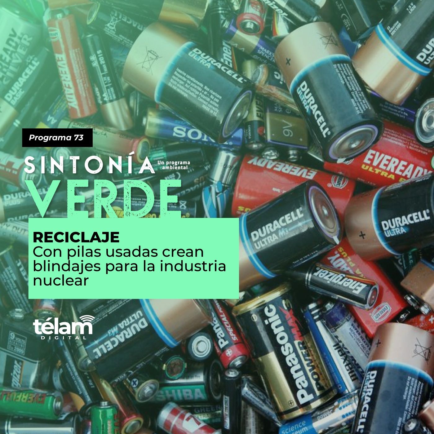 Sintonía Verde, un programa ambiental