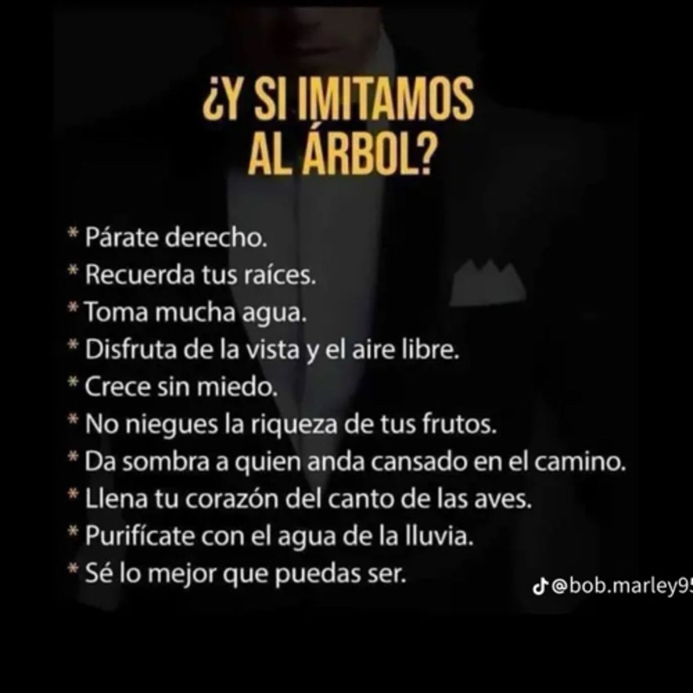 {Sana-Mente} con Fer Altamirano
