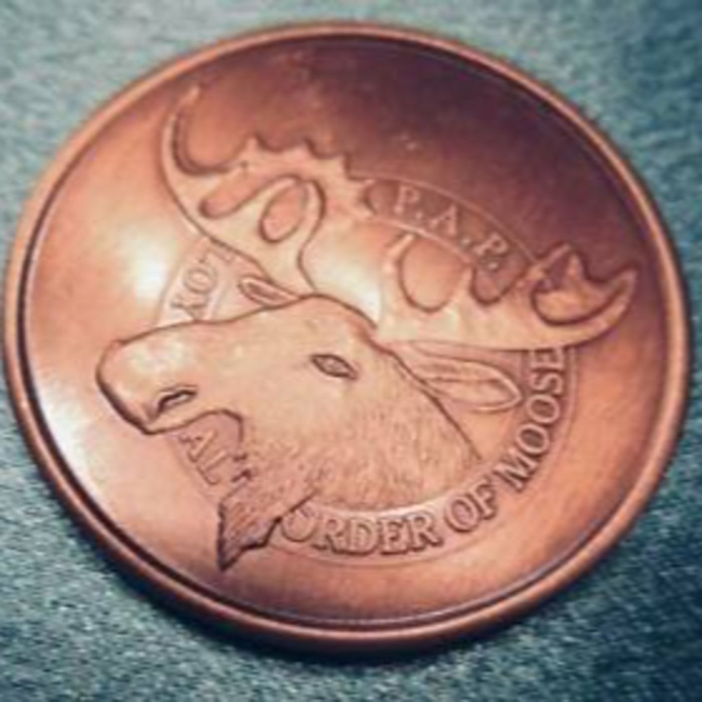 Loyal Order Of the Moose- Children School, Special Ops, and Crime Scene Clean-up