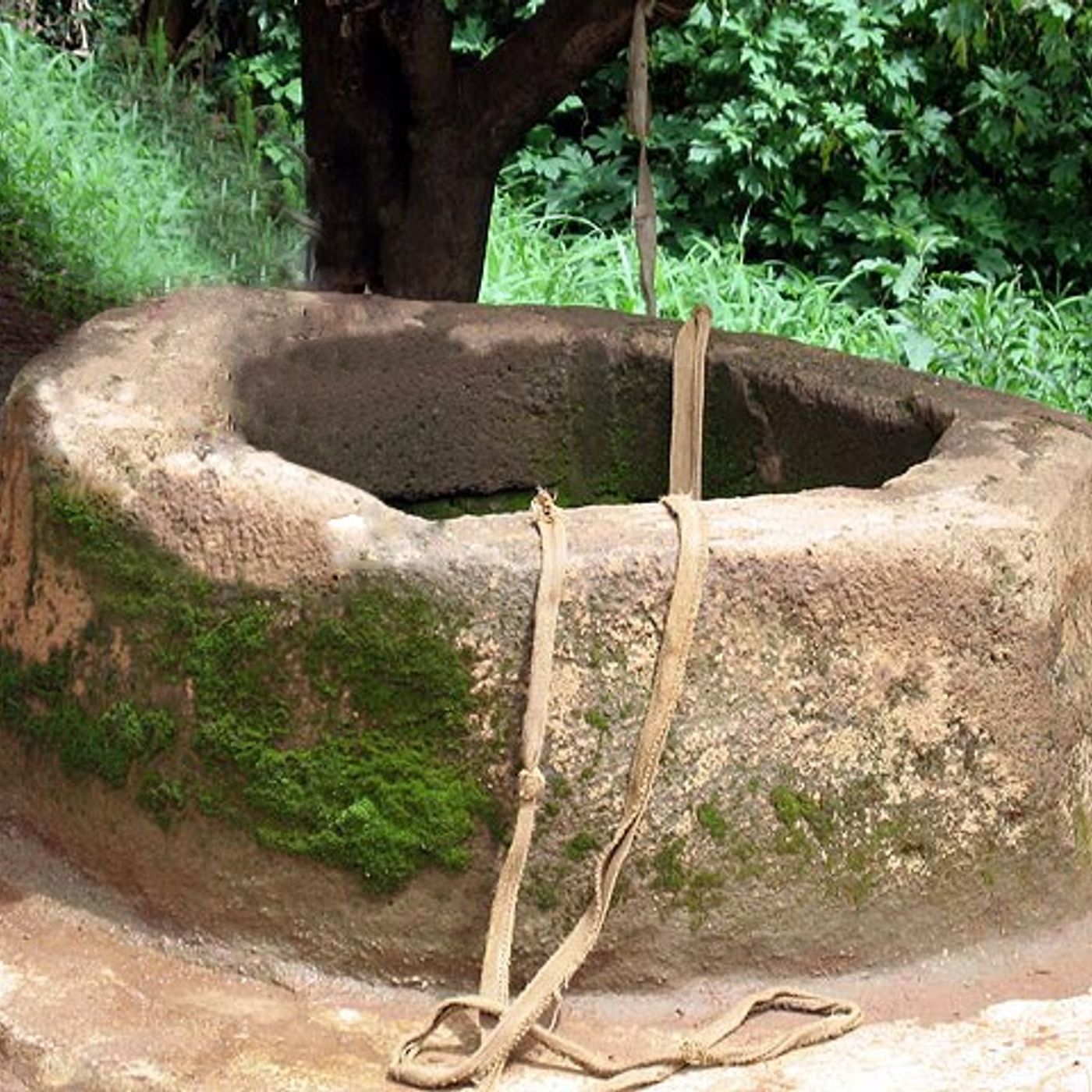 A Visit at the Well