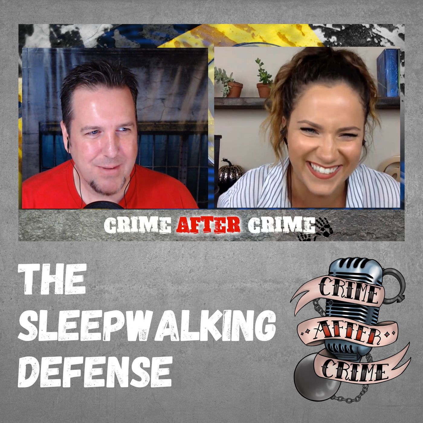 The Sleepwalking Defense