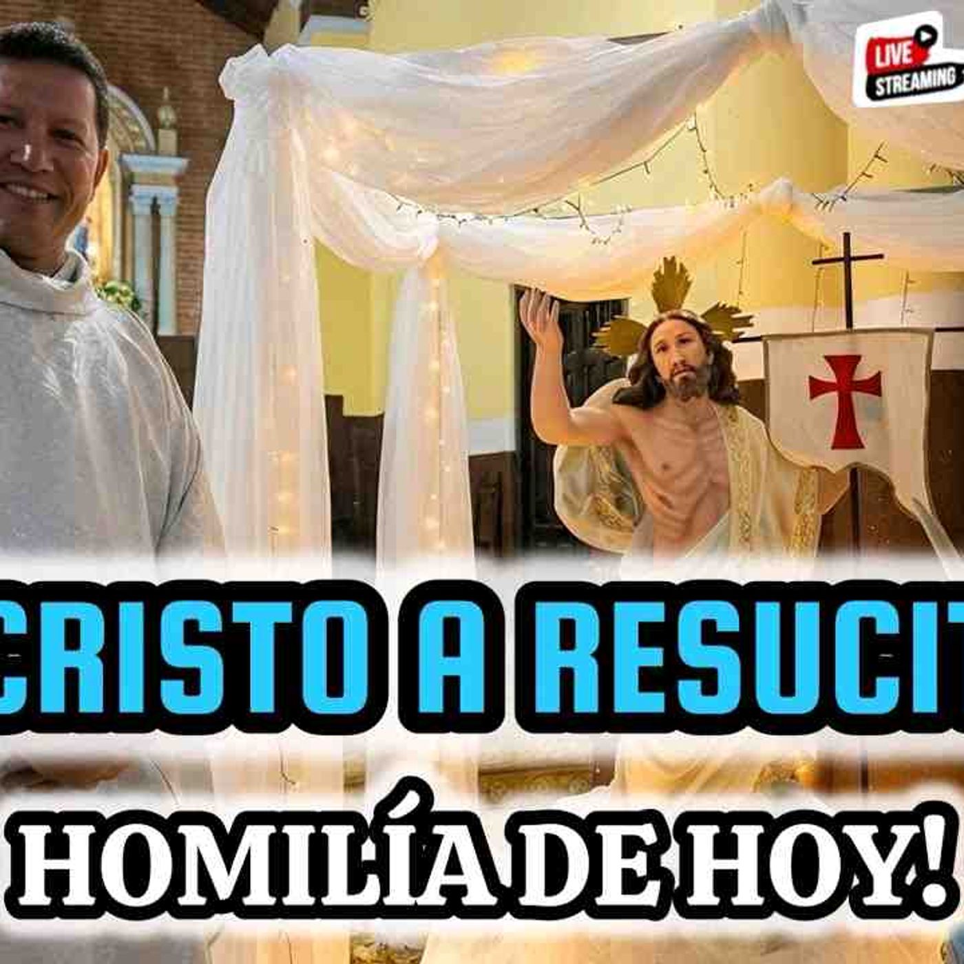 46-26_ JESUCRISTO HA RESUCITADO__️🚨PADRE LUIS TORO lanza HOMILÍA de PASCUA episode artwork
