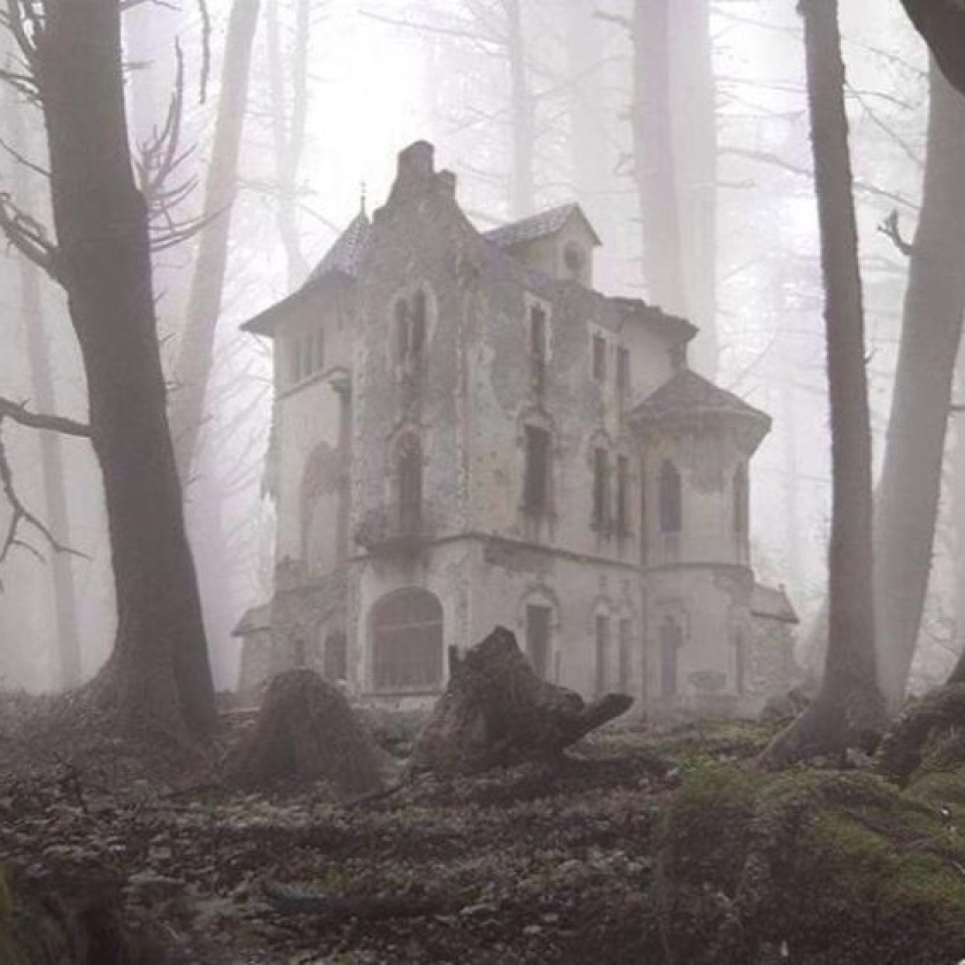 Voces del Misterio 7tv: Investigación paranormal en "La Casa del Bosque"