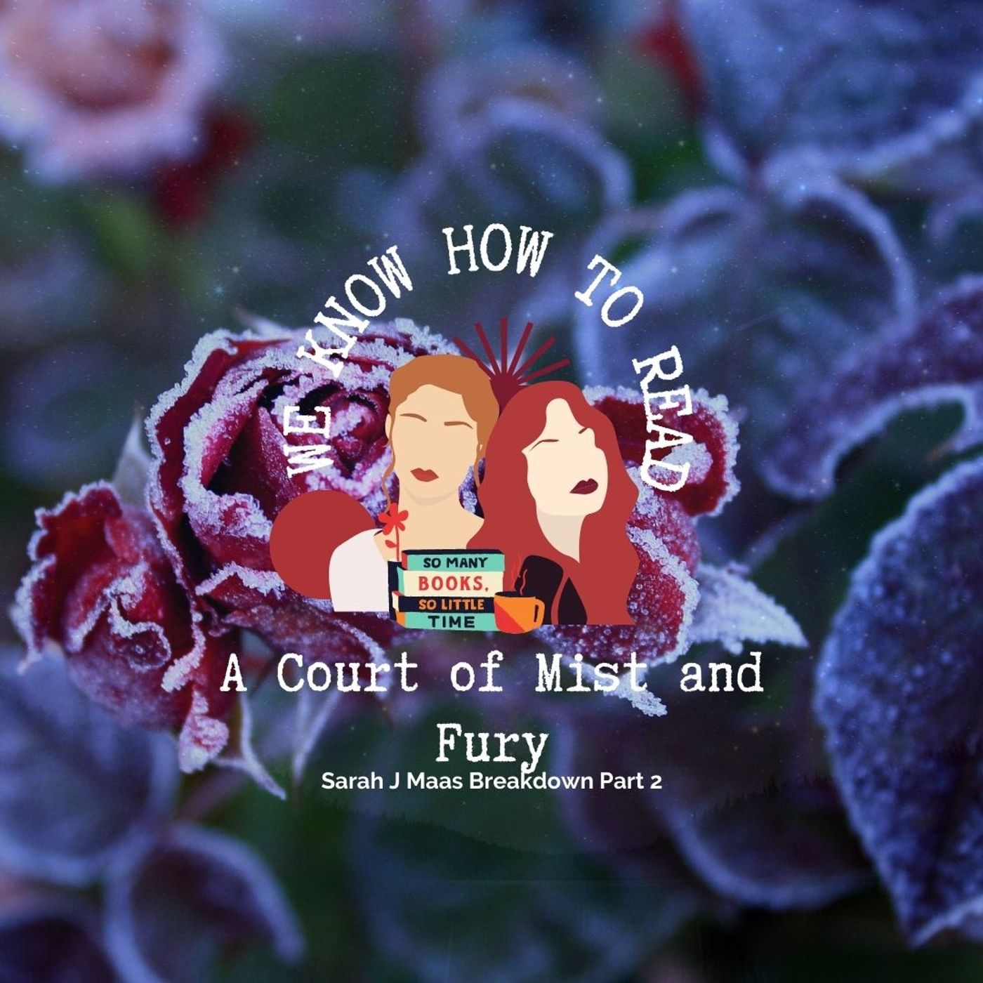 We Know How to Read : S8E19 : A Court of Mist and Fury Part2 episode artwork