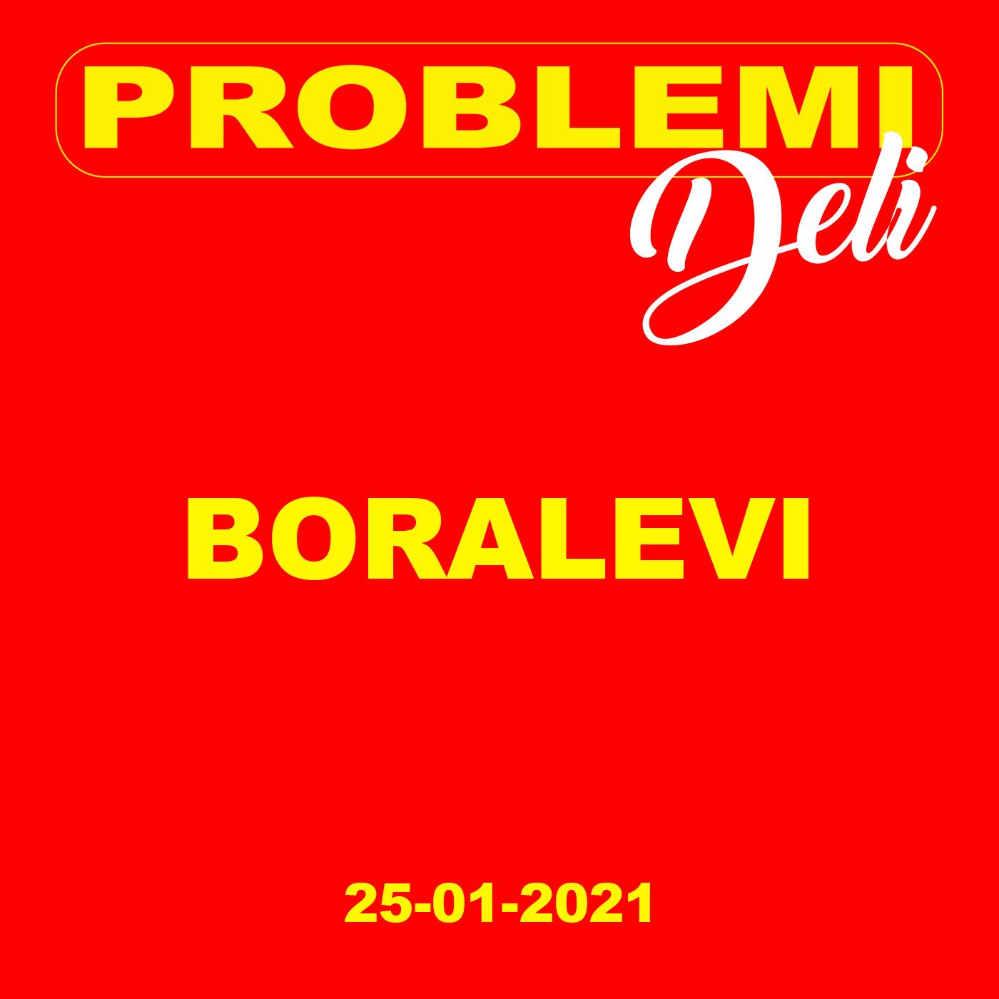 Problemi DELI
