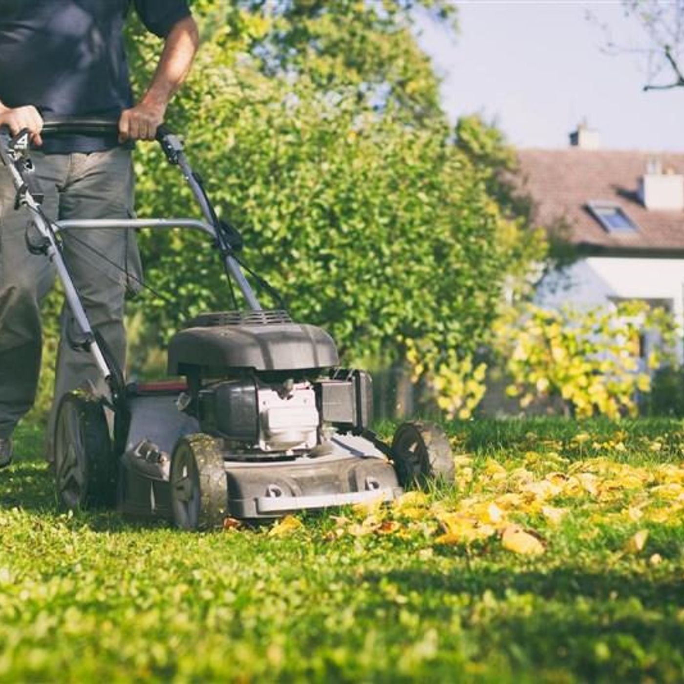 Guaranteed Garden Services