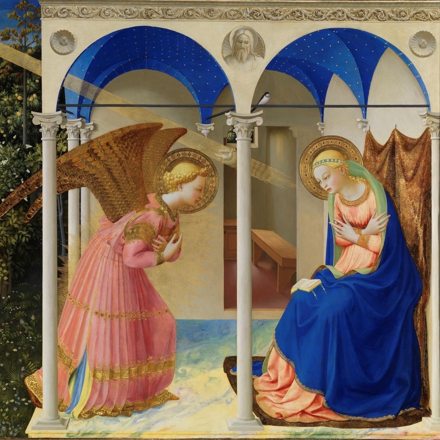 Immacolata, festa della donna. Vangelo e omelia | Immacolata Concezione della BVM. Milano 251208 episode artwork
