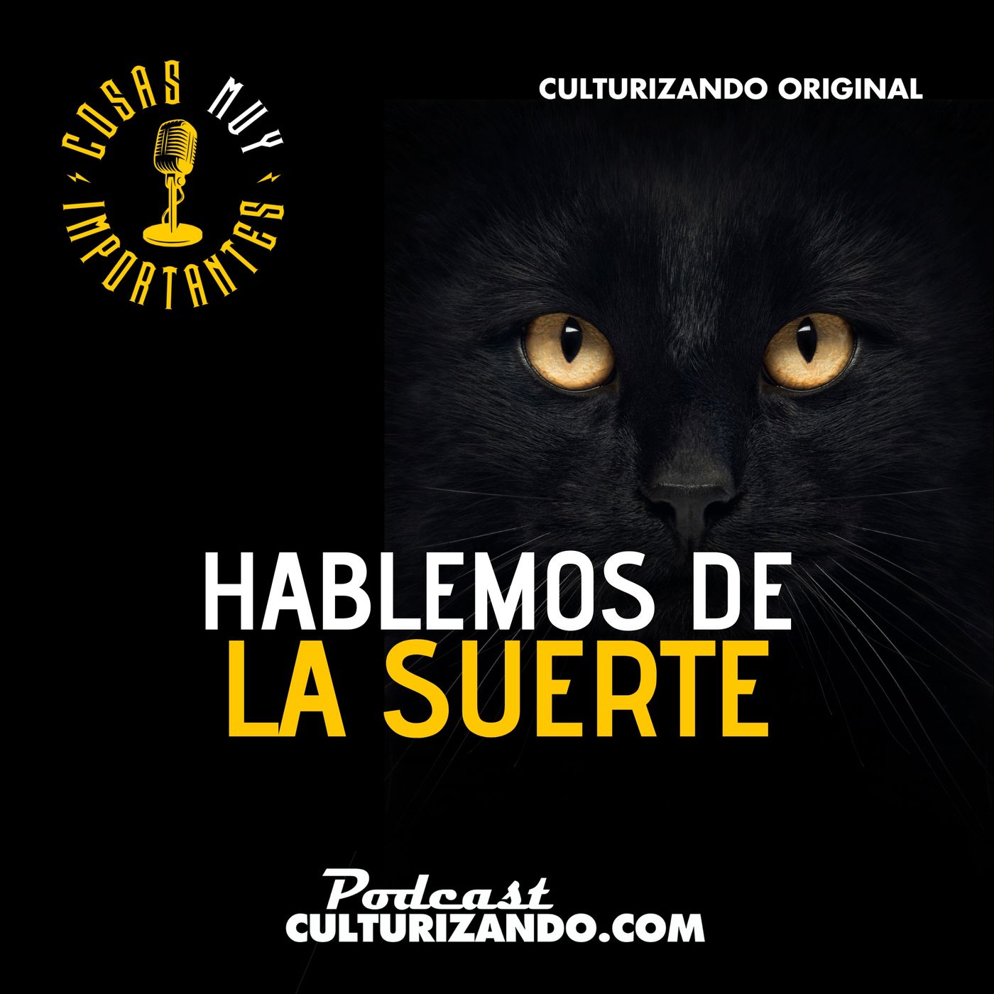 Cosas muy importantes • Historia Curiosa
