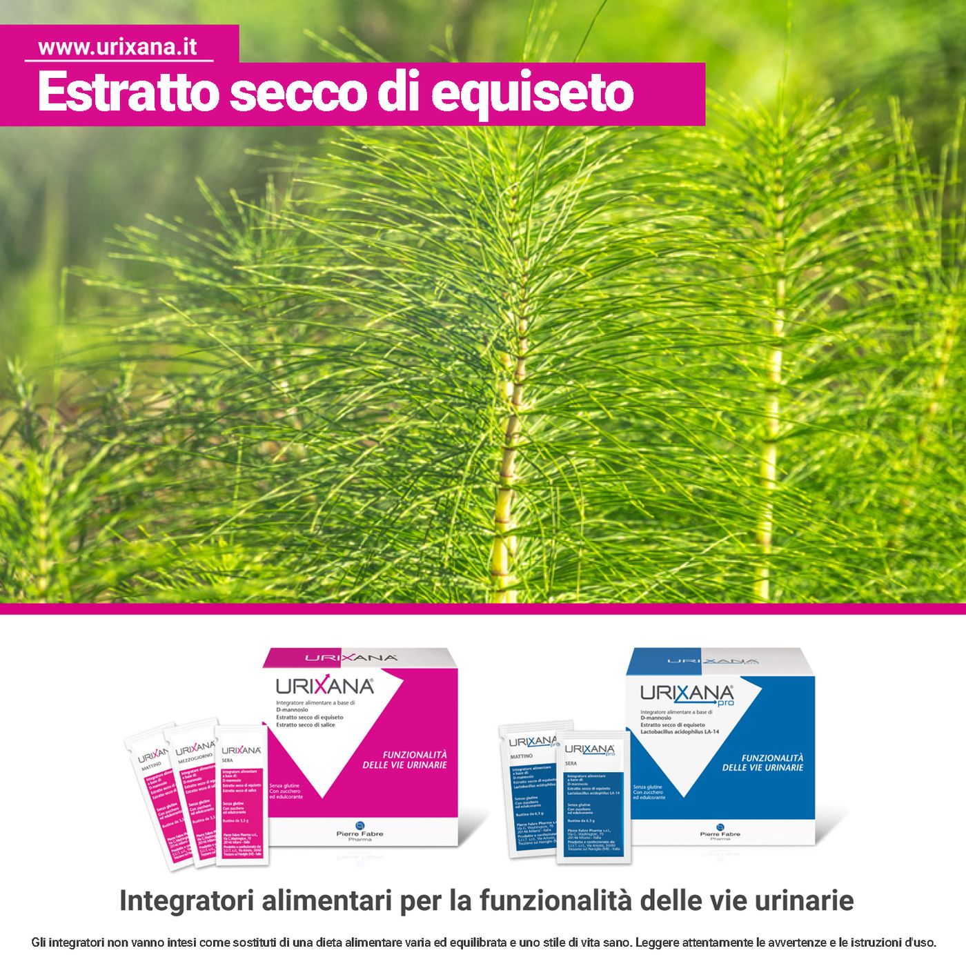 Estratto secco di equiseto episode artwork