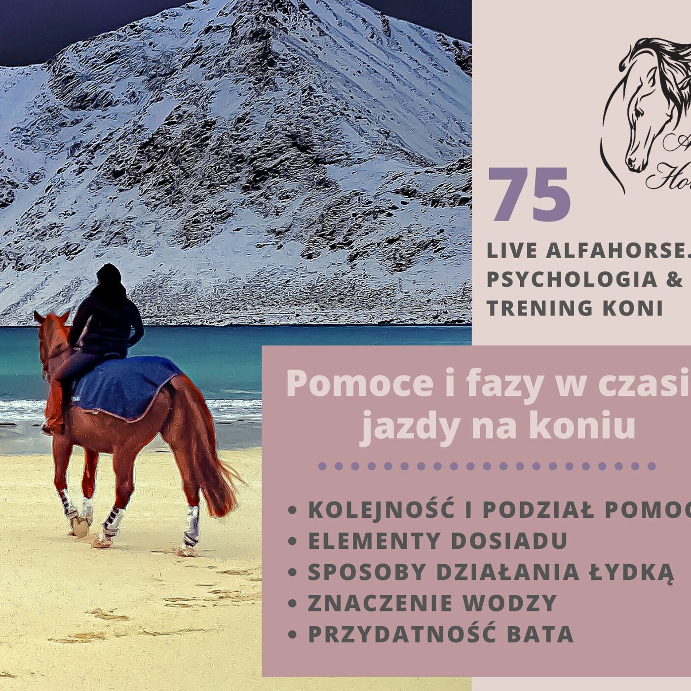 Live 75: Pomoce i fazy w czasie jazdy na koniu episode artwork