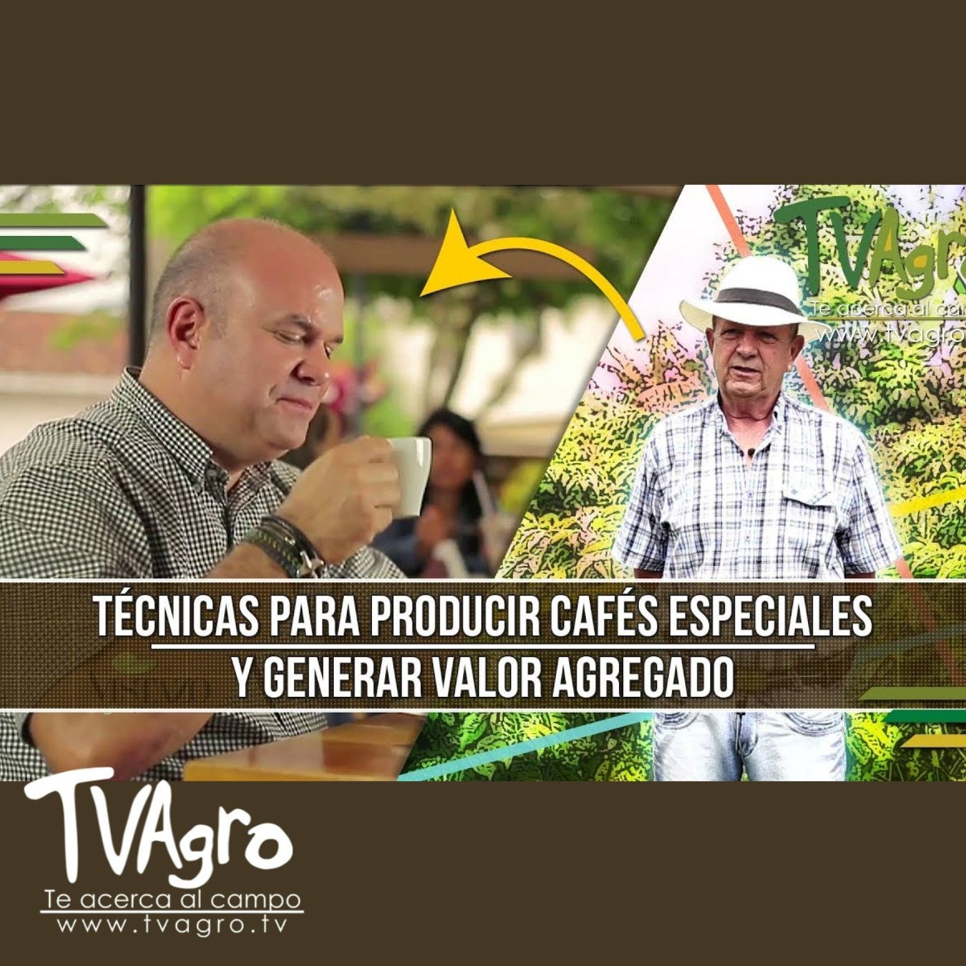 TV AGRO