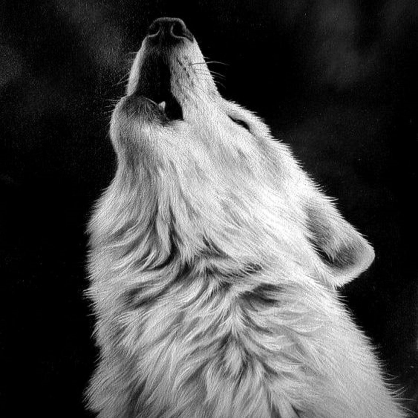 Lupe (La Coyota Bruja)