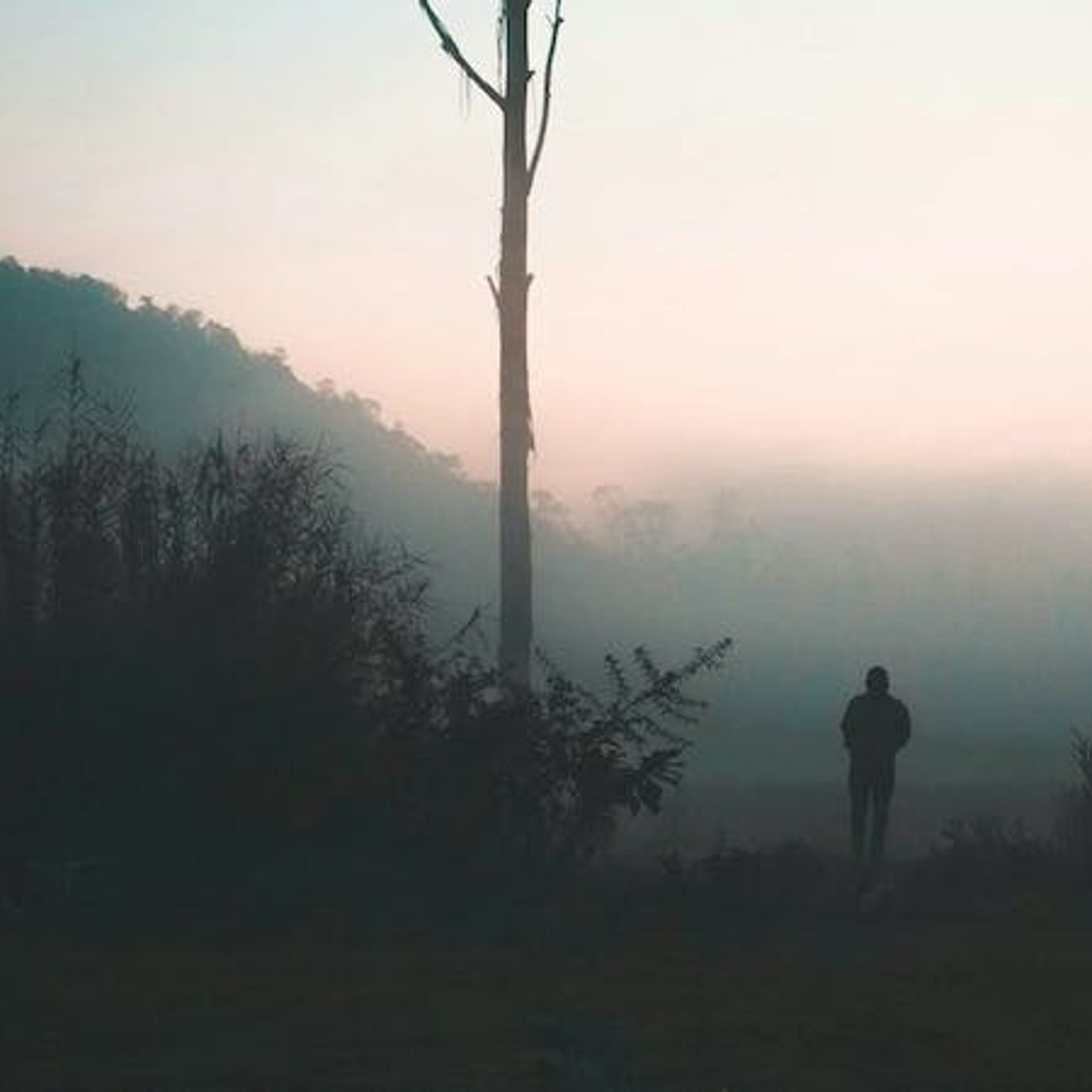 My Girlfriend Is Pregnant — What Do I Do Next?