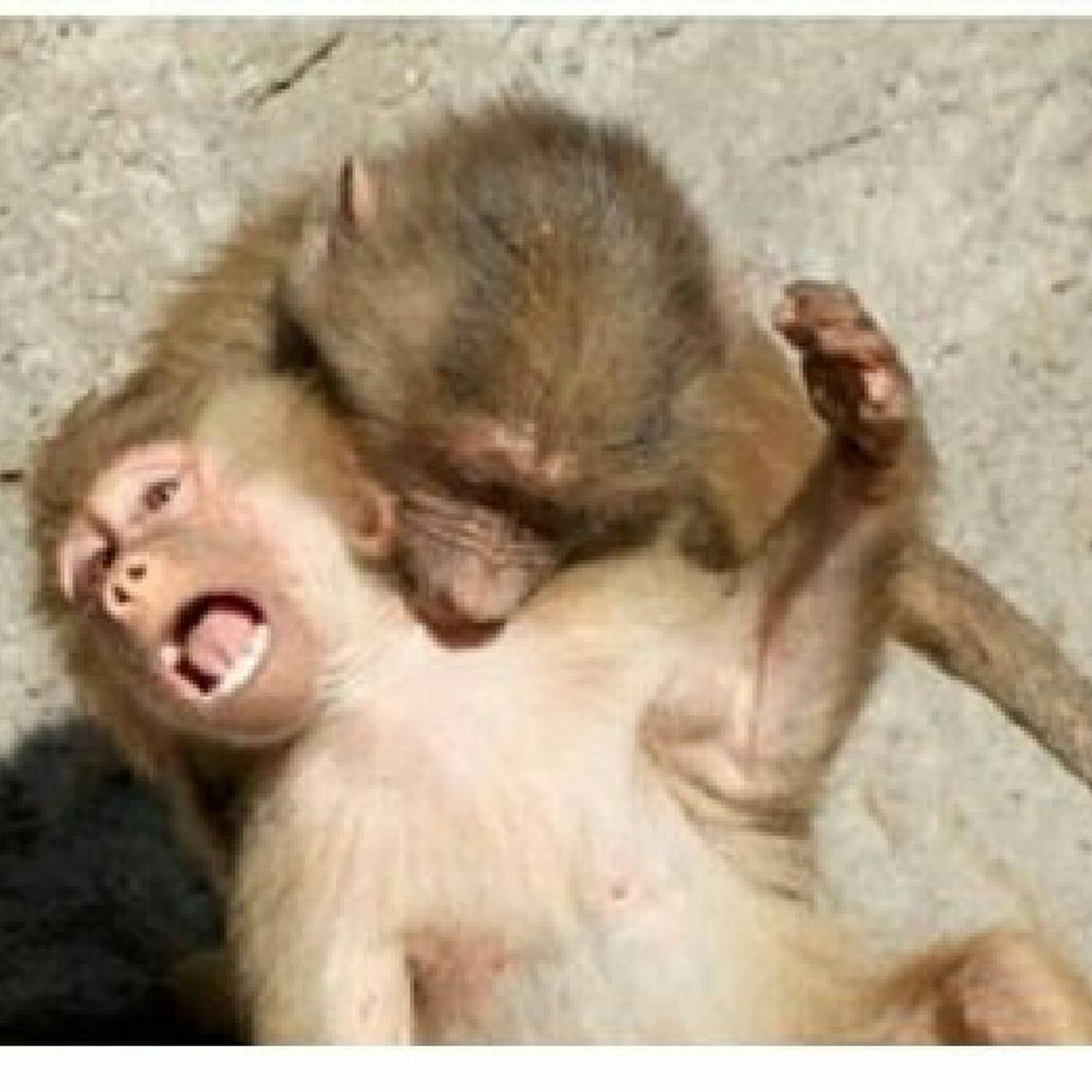 Kicking It With Lenny