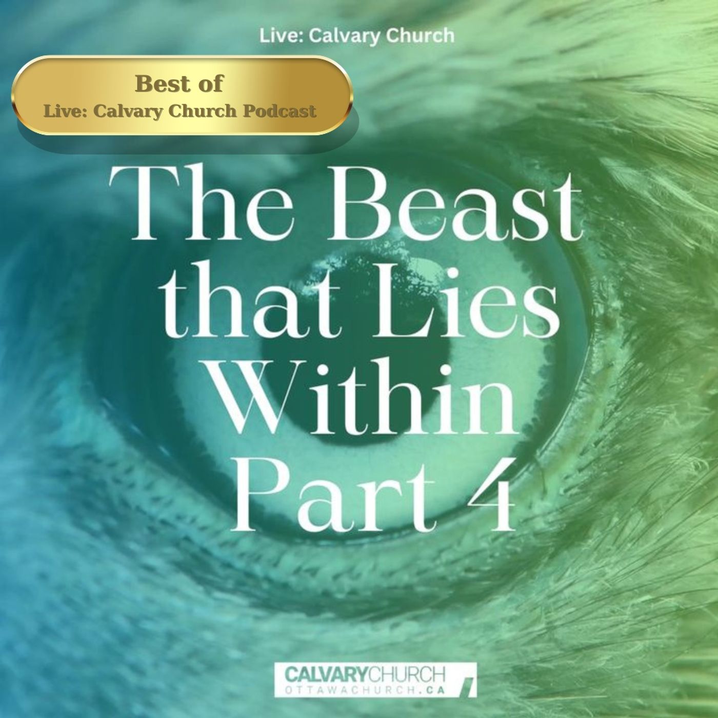 Best of: The Beast that Lies Within- Part 4.