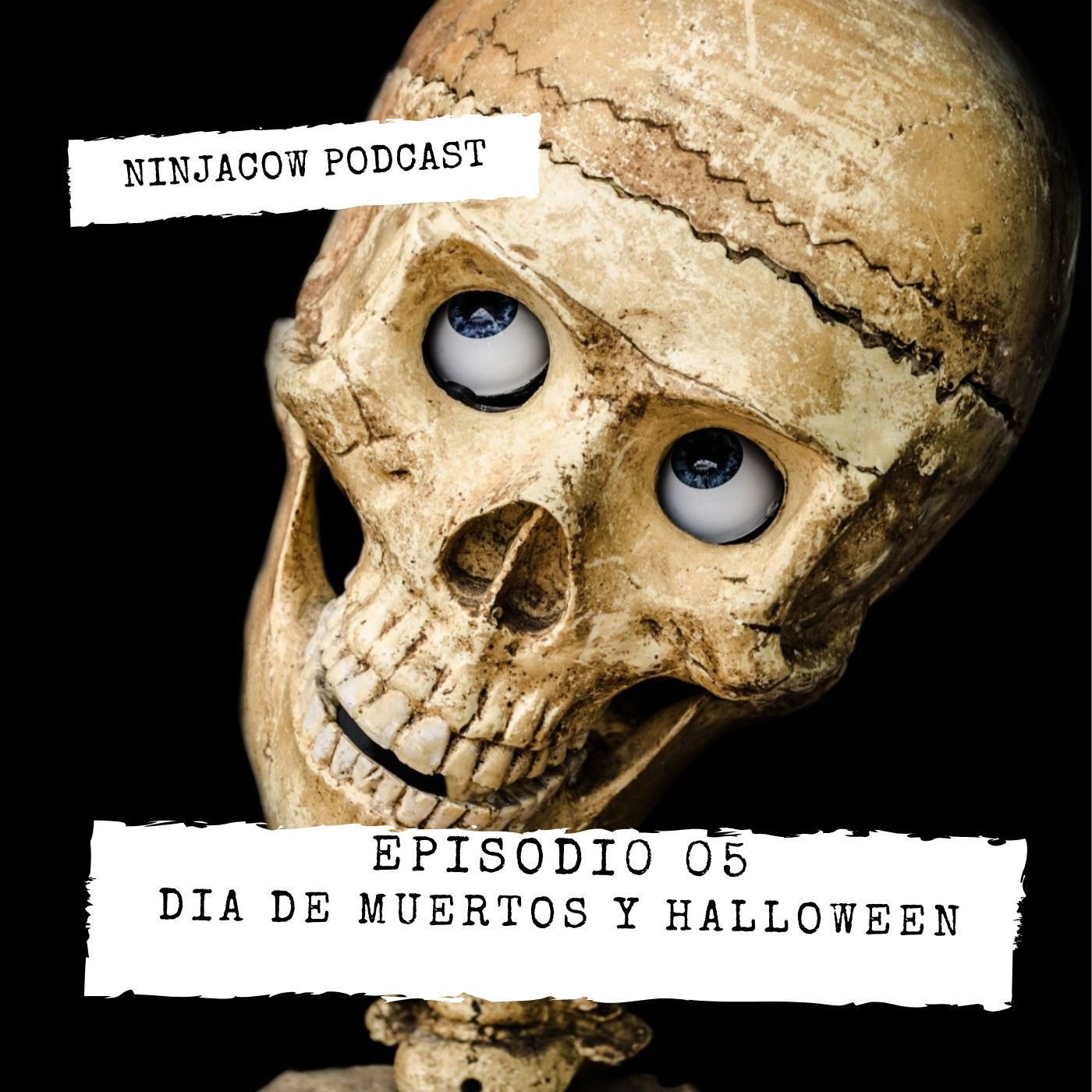 Ninjacow Podcast