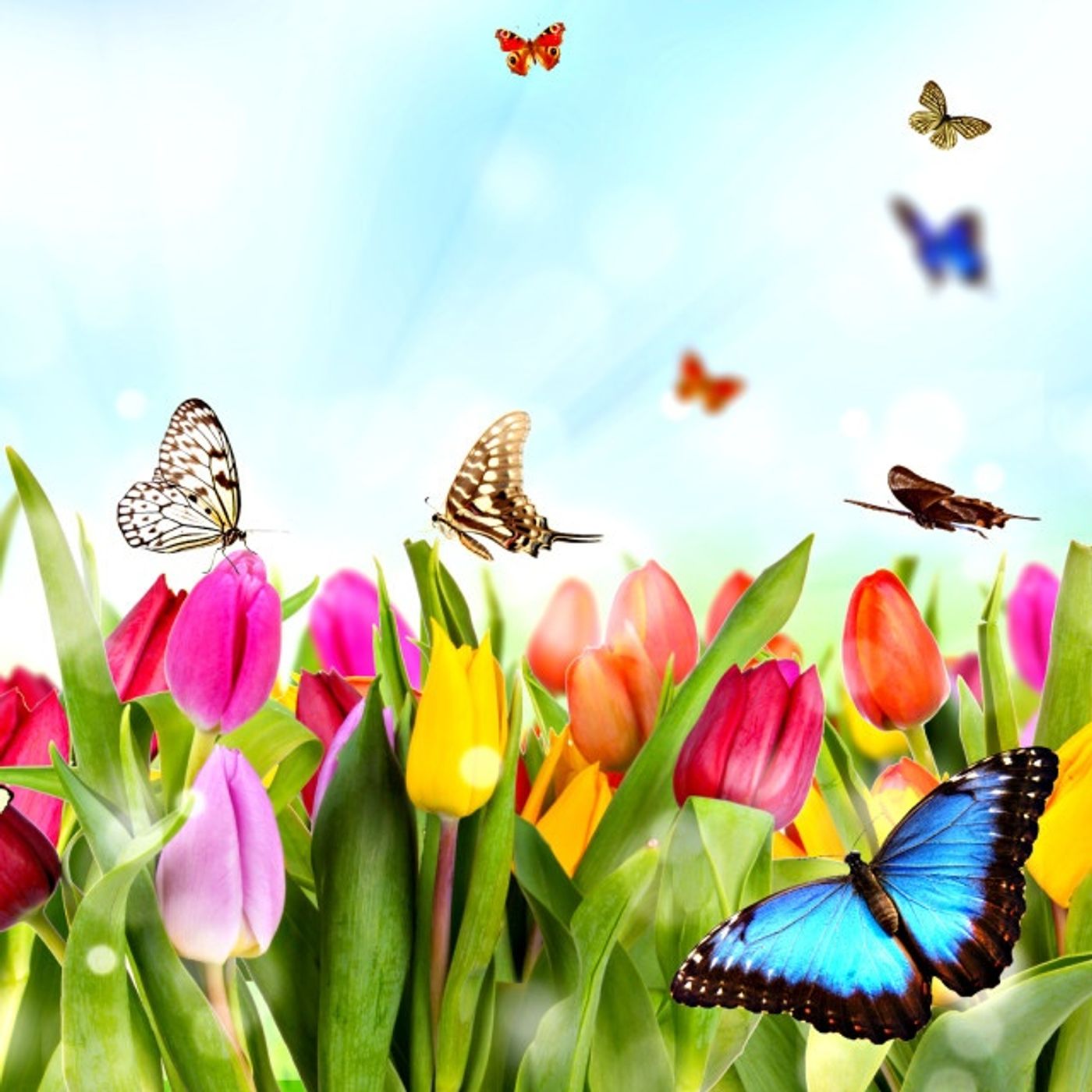 Filastrocche sulla primavera