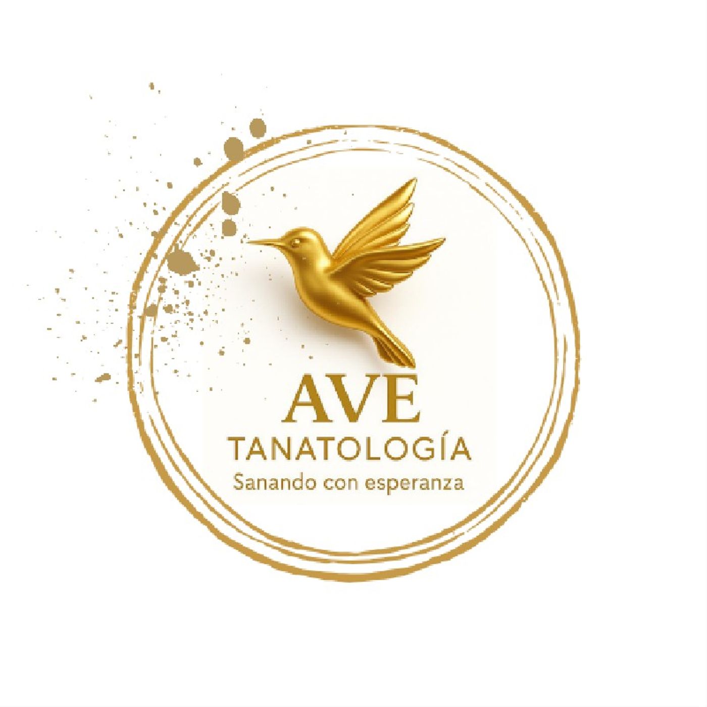 La tanatología y biodescodificacion. episode artwork