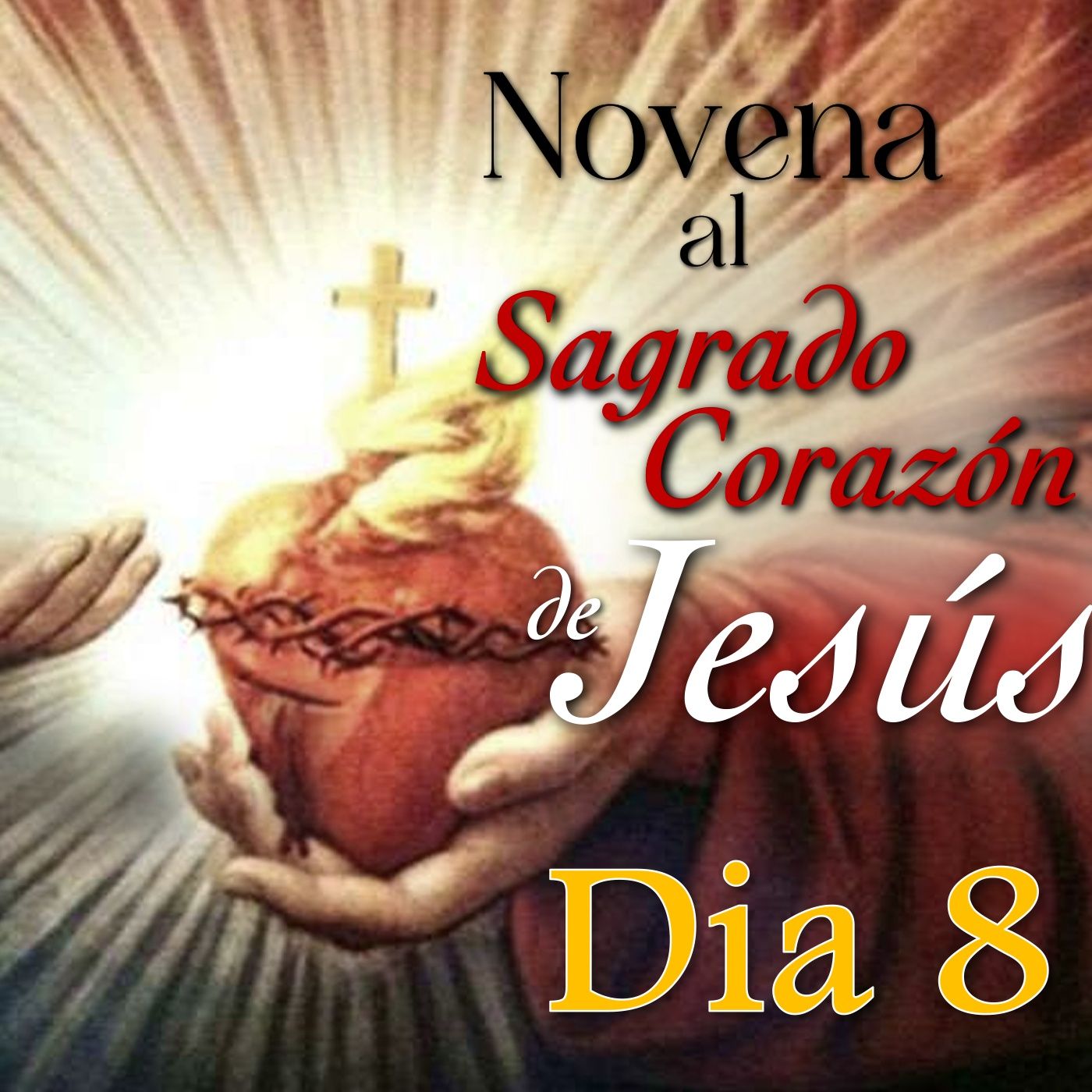 Día 8 ❤️‍🔥 Novena al SAGRADO CORAZÓN de JESÚS