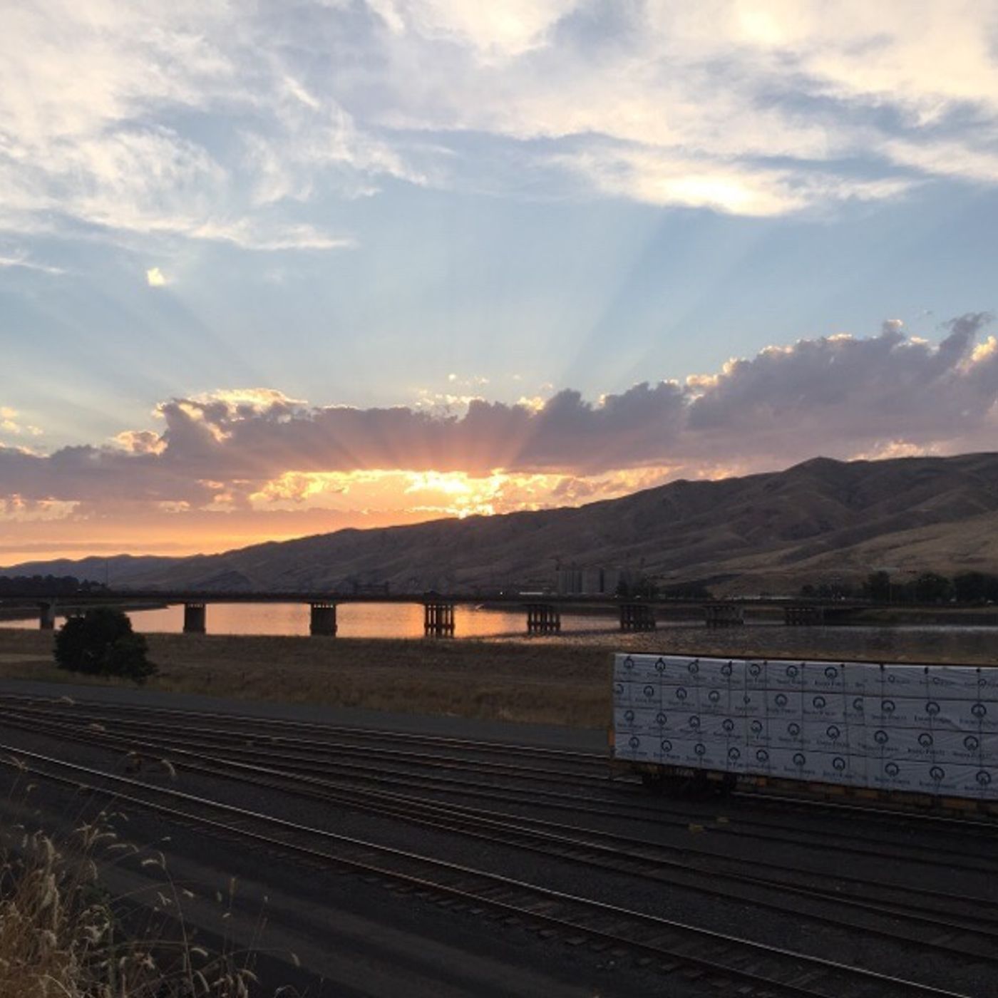 Rebellion ! When Is It time for Christians to Rebel?