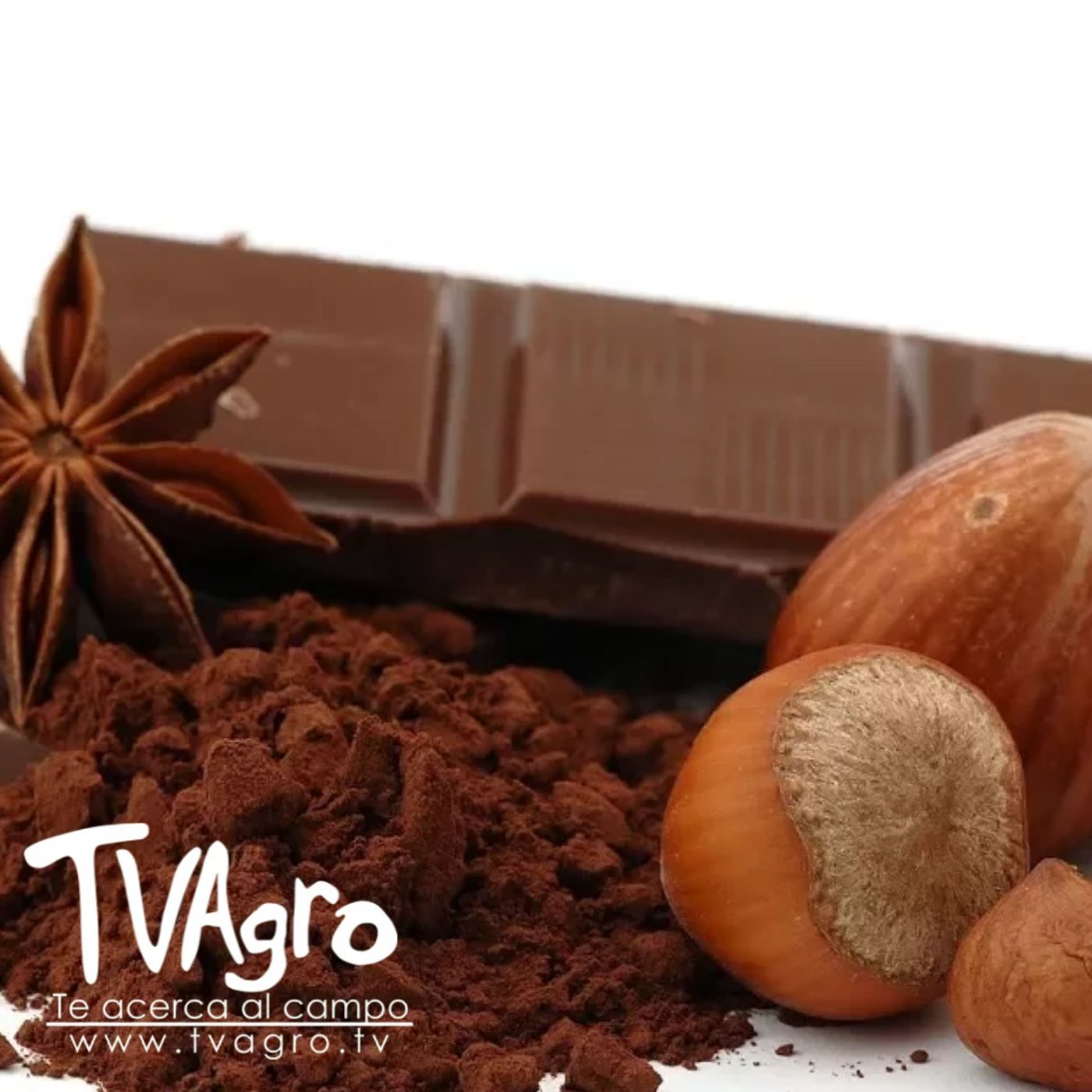 TV AGRO