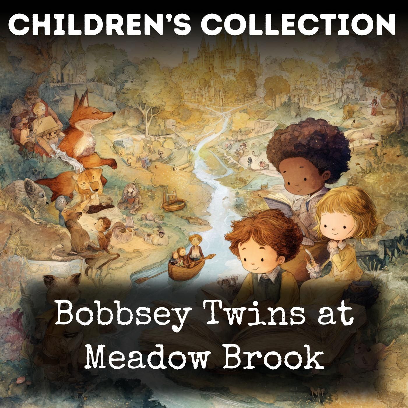 Bobbsey Twins at Meadow Brook