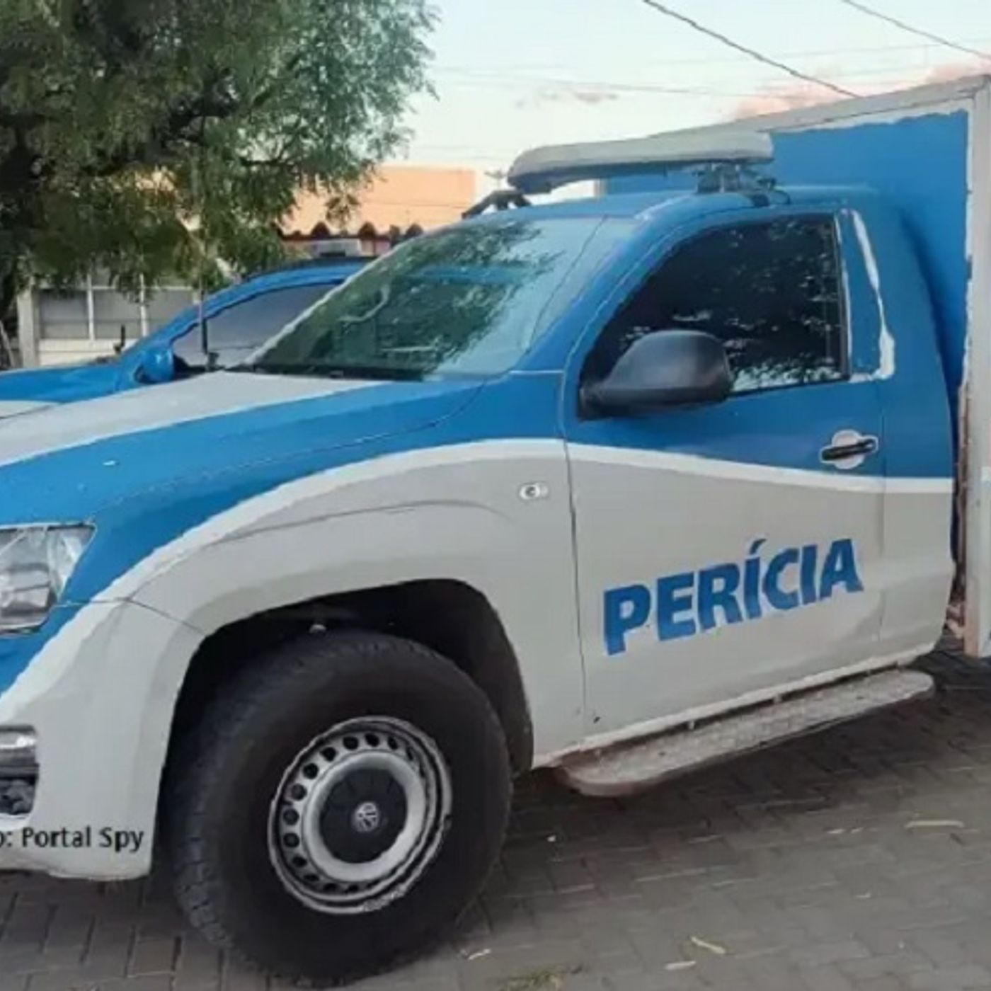Rede Seta Notícias