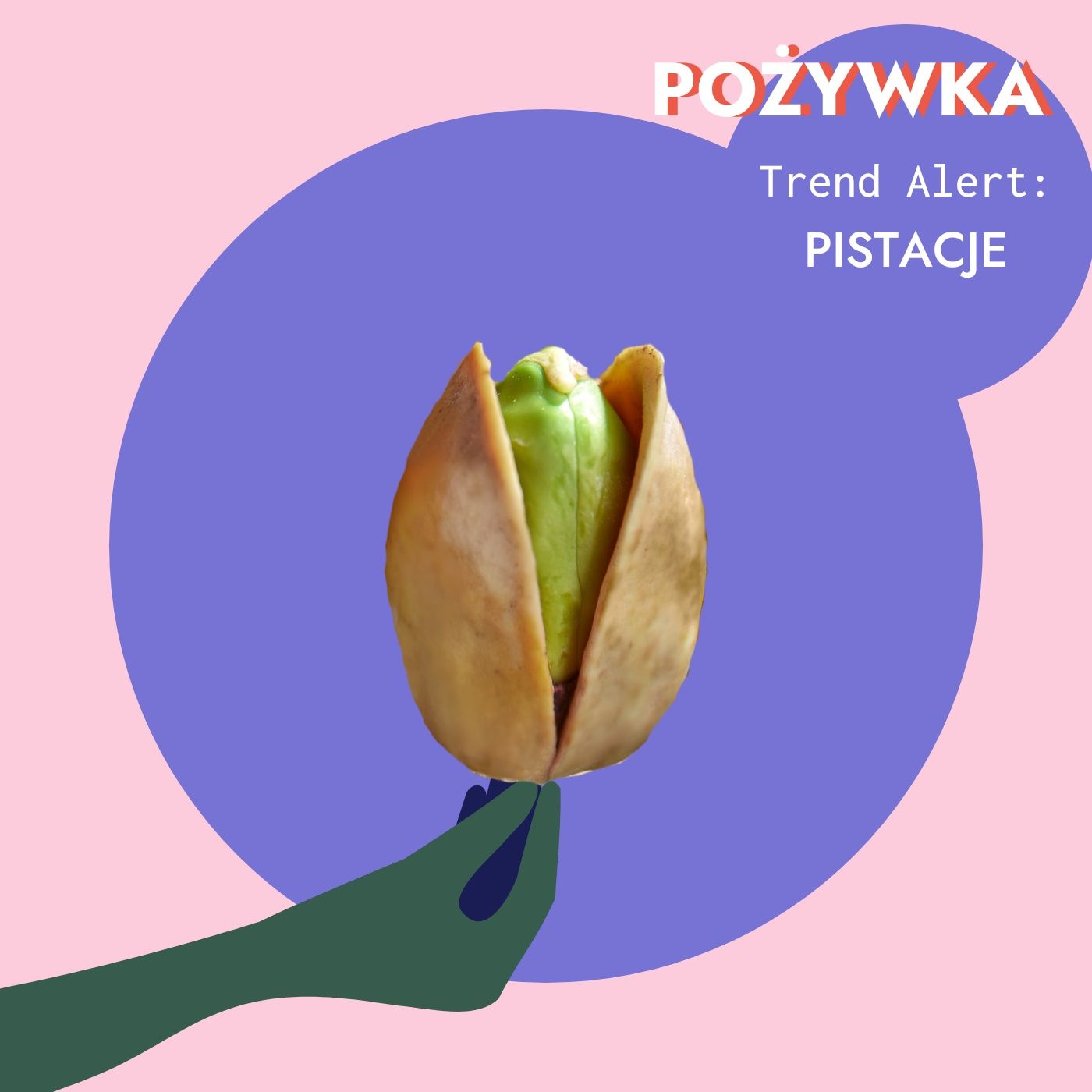 Pożywka