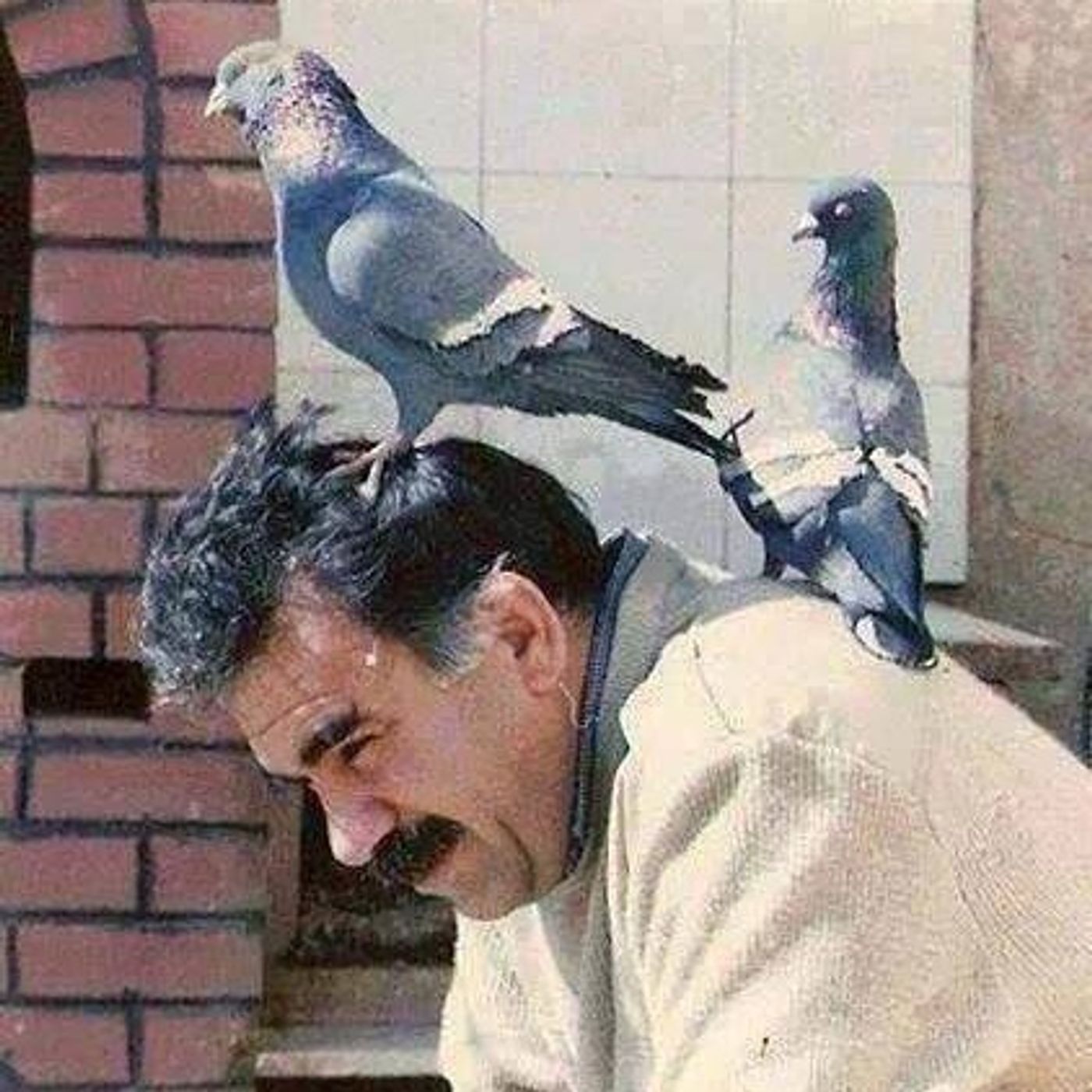 چۆنێتی دەستگیرکردنی ئۆجەلان چۆنێتی دەستگیرکردنی ئۆجەلان