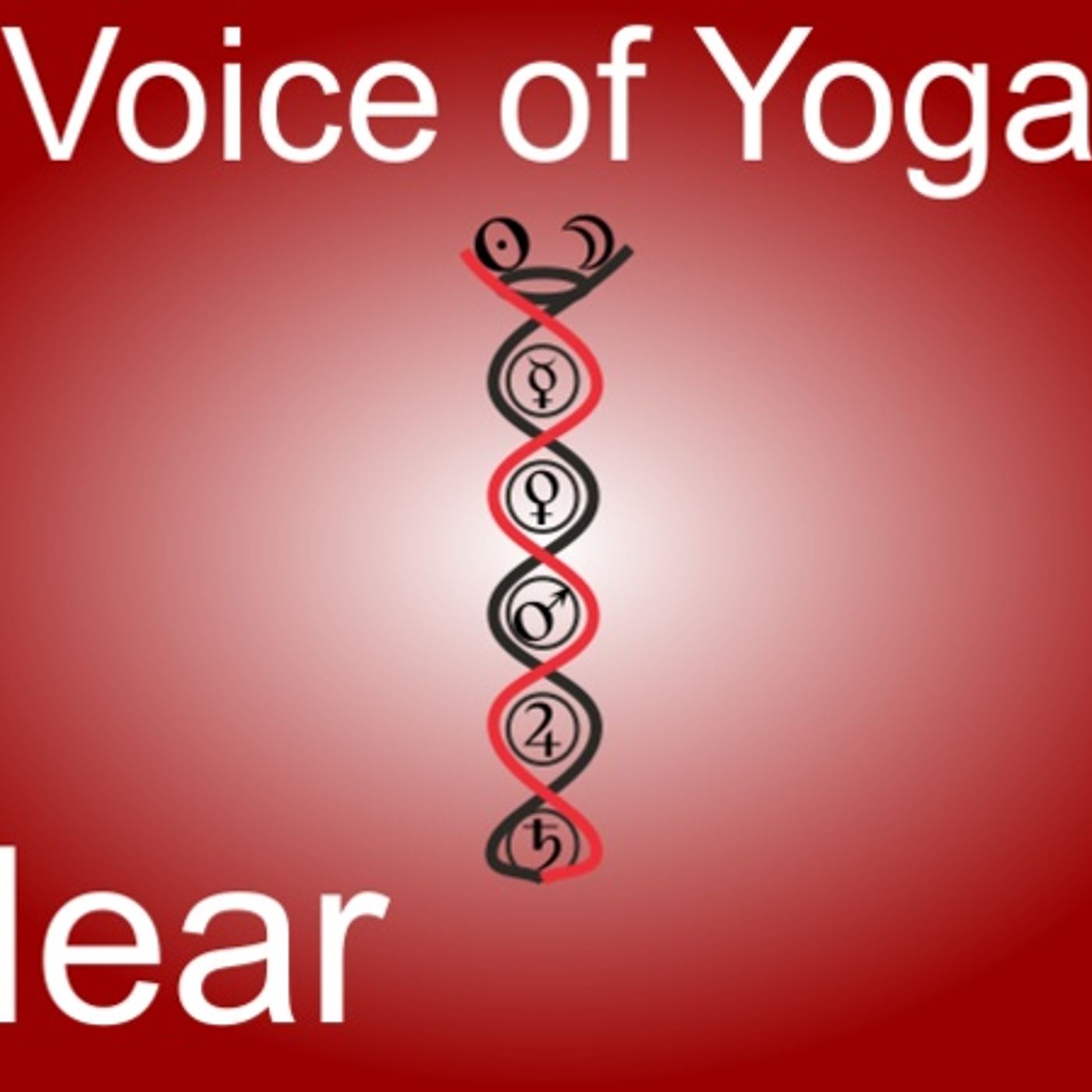 Anatomy of a Spiritual Healing episode artwork